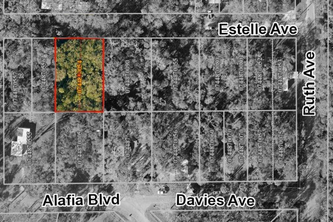 Details for 931 Estelle Avenue, BRANDON, FL 33511