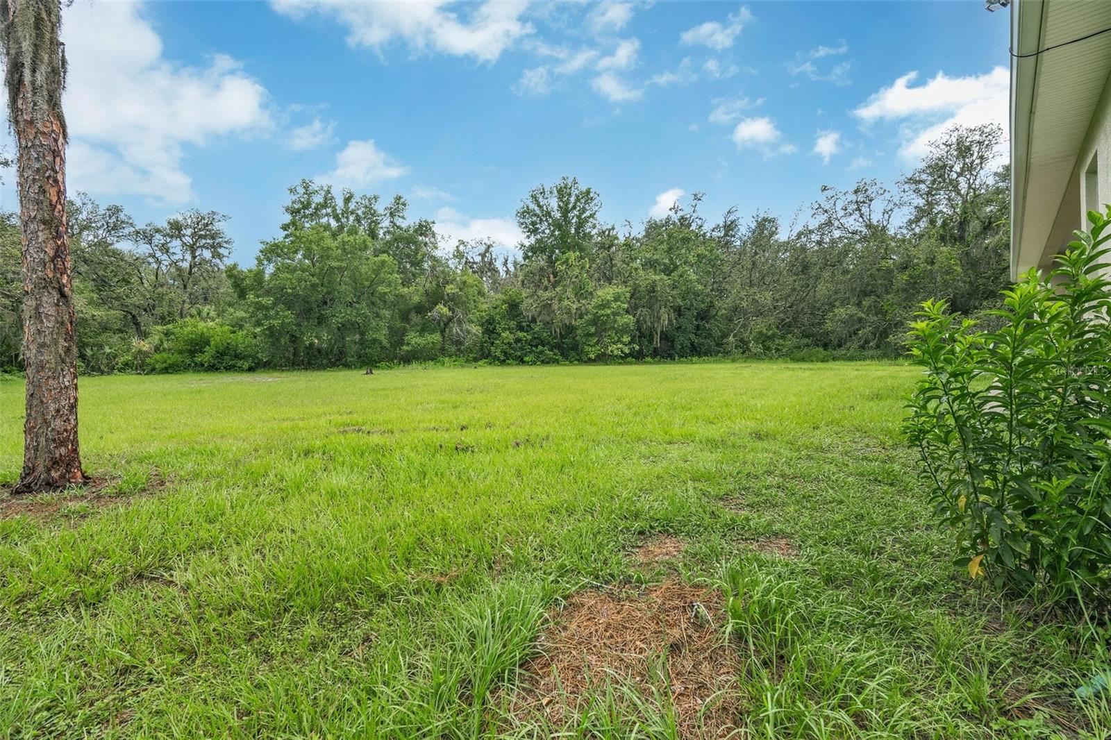 Listing photo id 40 for 9824 Brantley Road