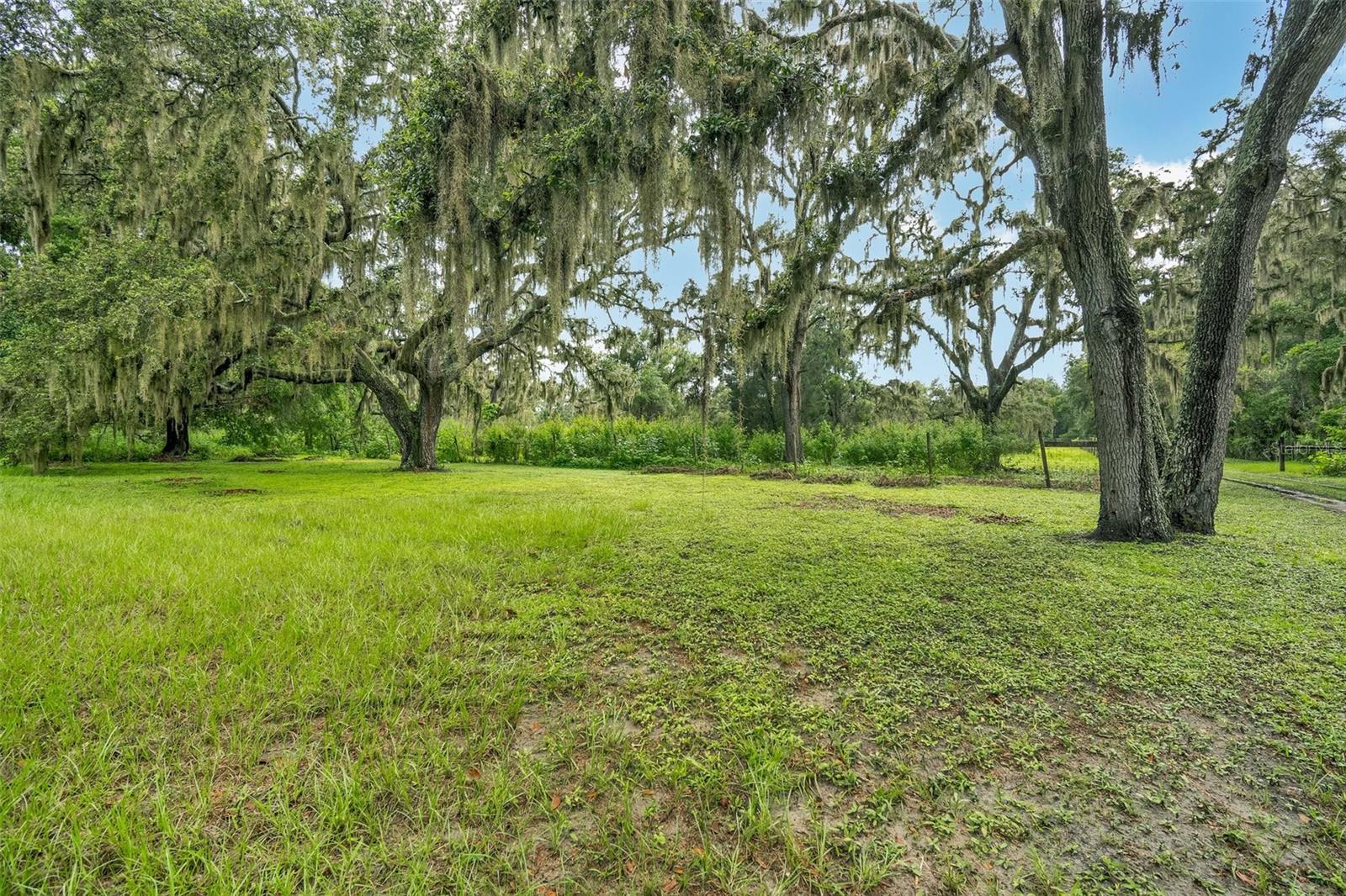 Listing photo id 41 for 9824 Brantley Road