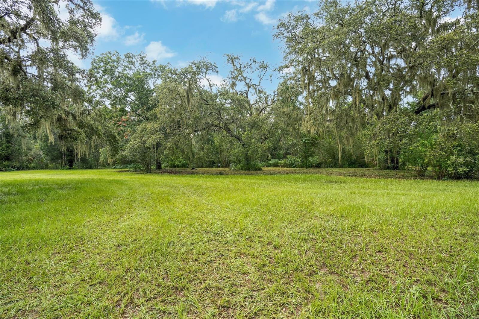 Listing photo id 42 for 9824 Brantley Road