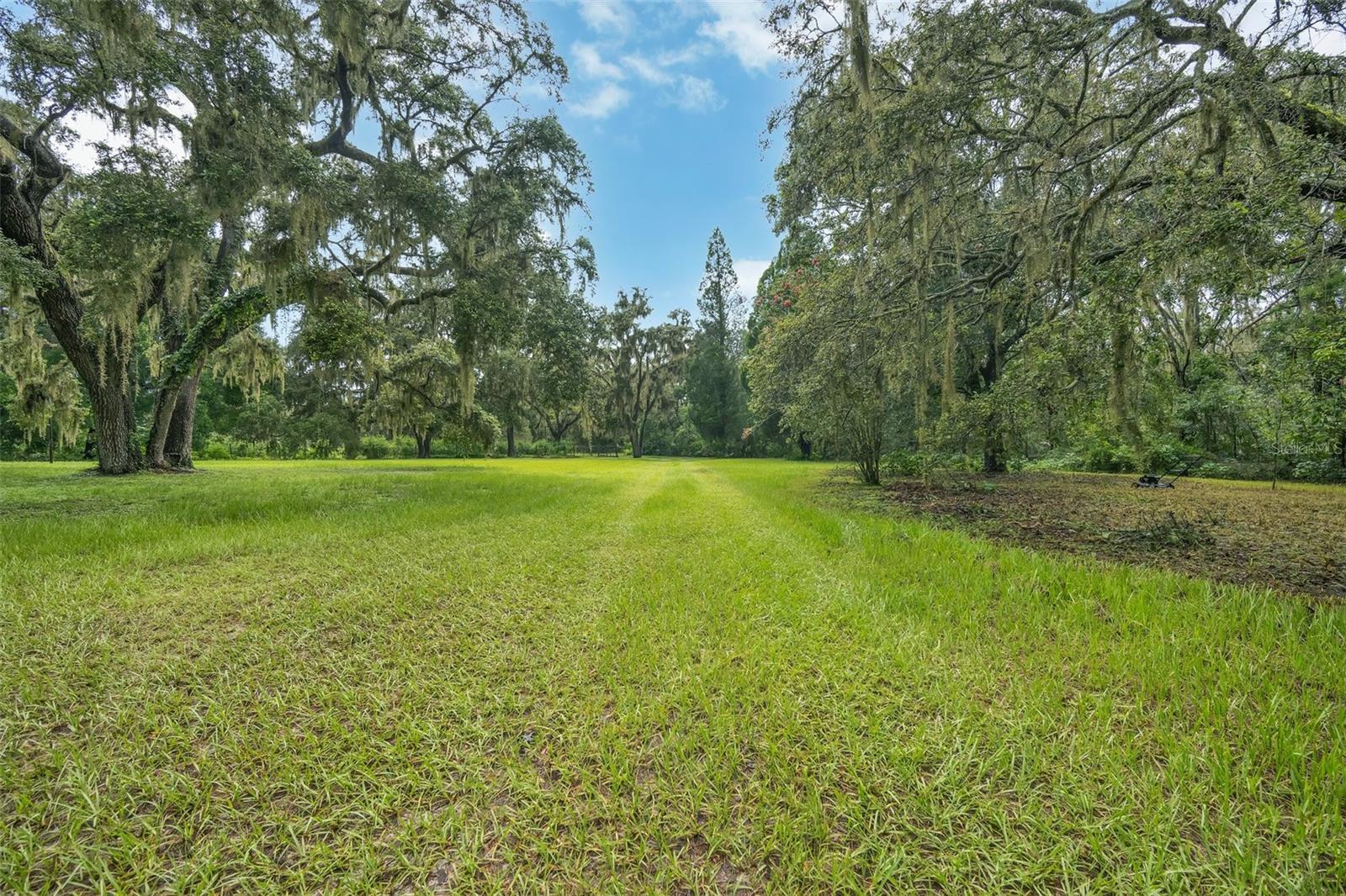 Listing photo id 43 for 9824 Brantley Road