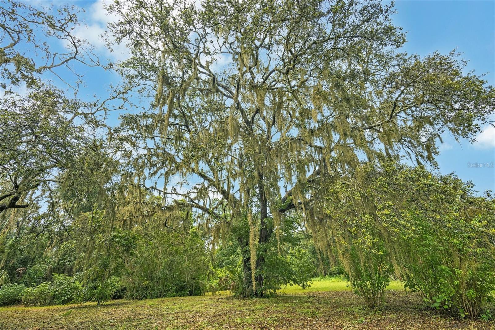 Listing photo id 44 for 9824 Brantley Road