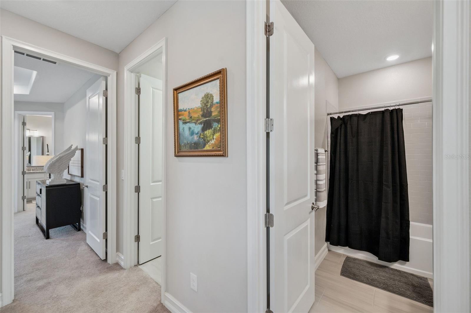 Image 34 of 88 For 4869 San Martino Drive