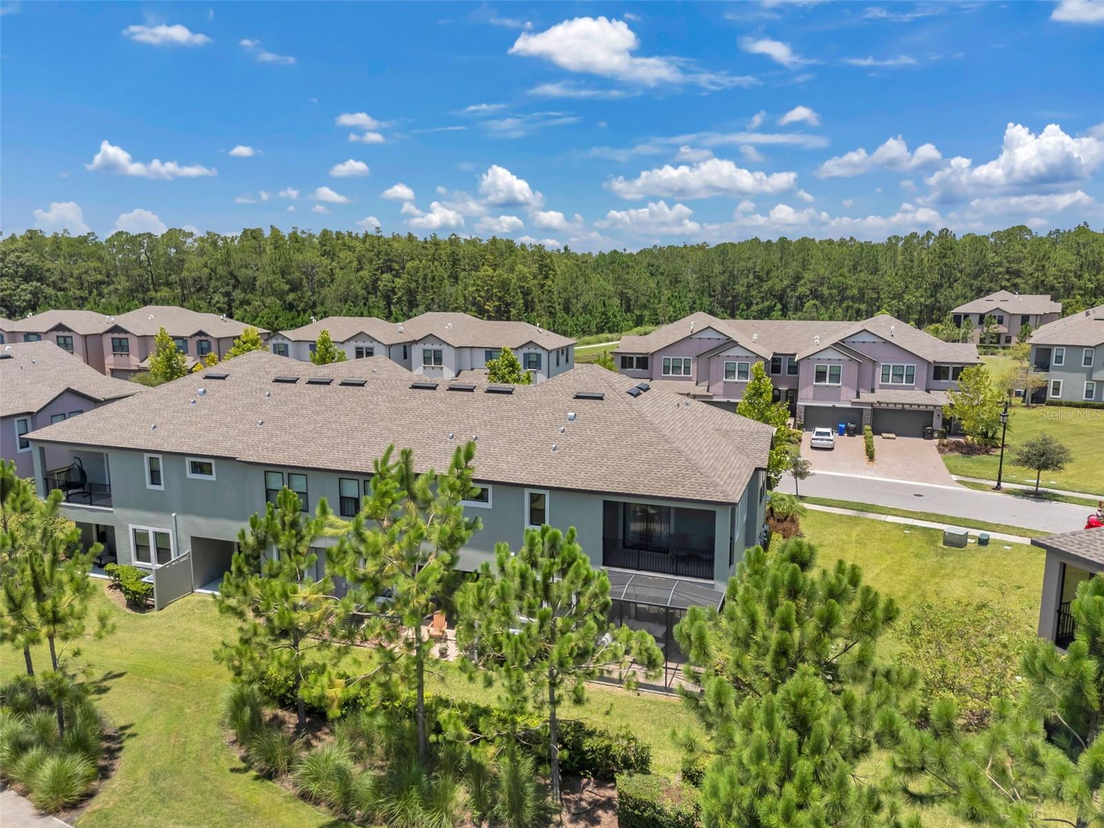 Image 54 of 88 For 4869 San Martino Drive