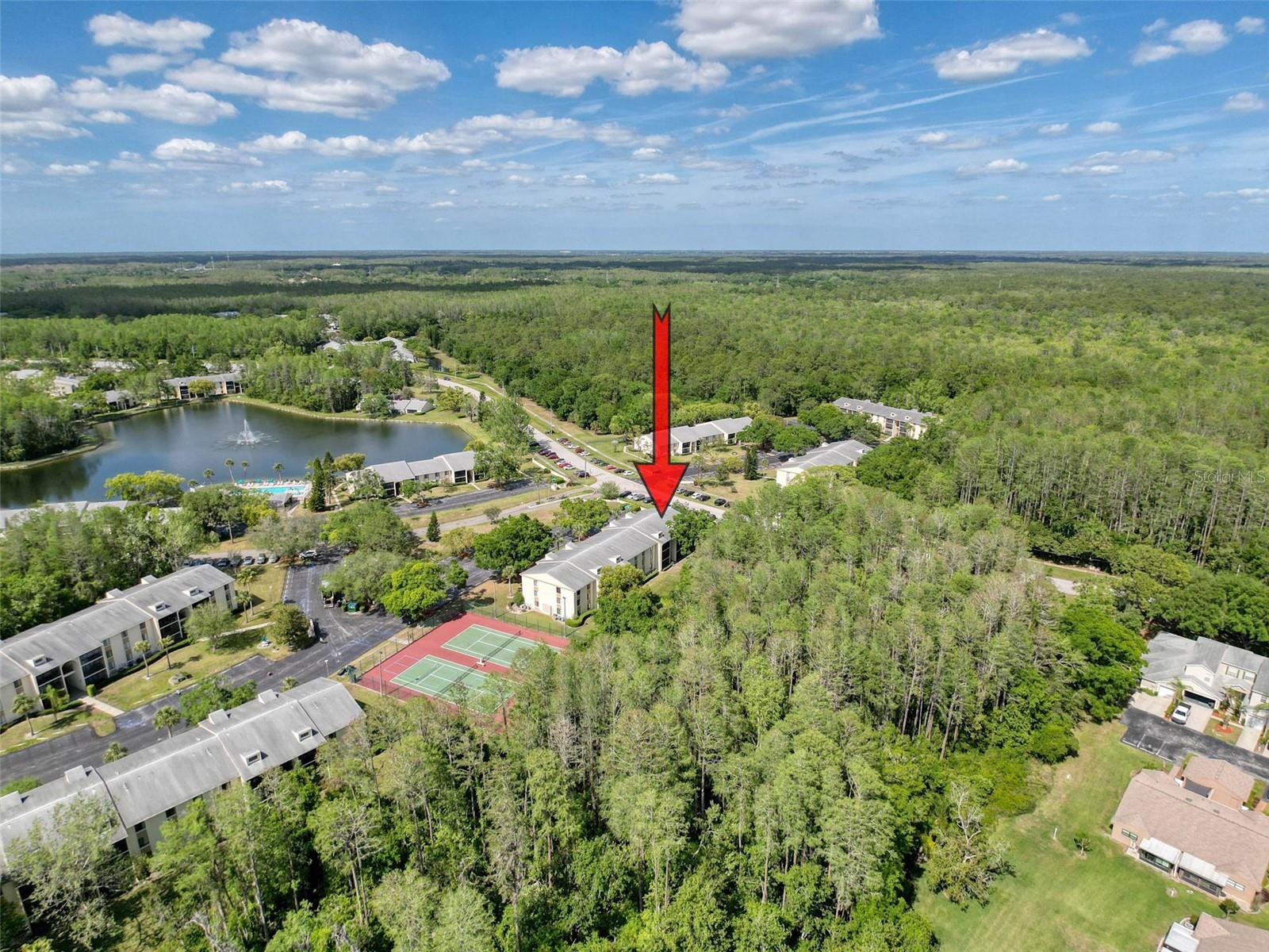 Image 34 of 41 For 3188 Lake Pine Way S B1
