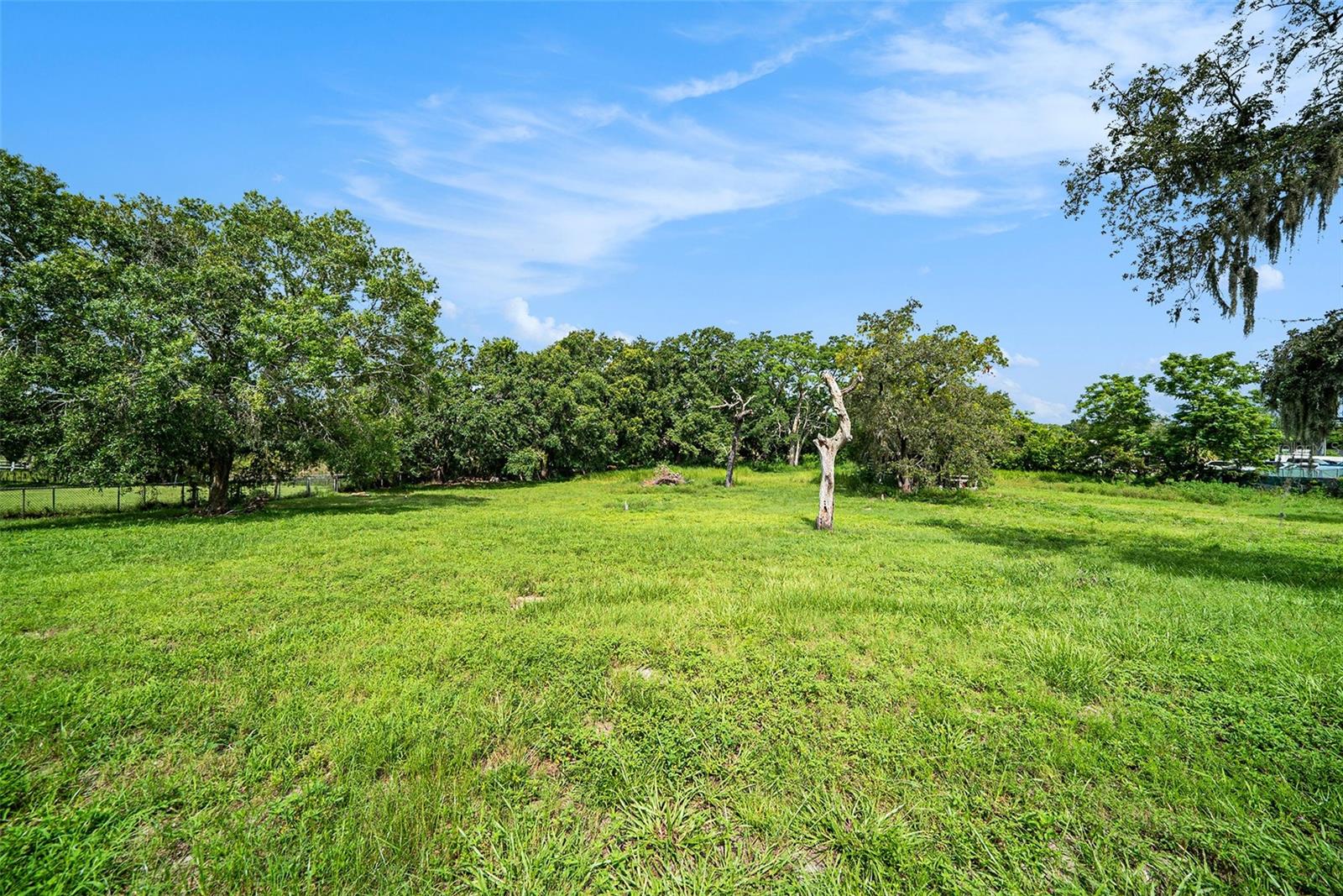 Listing photo id 0 for 11911 Pine Forest Drive