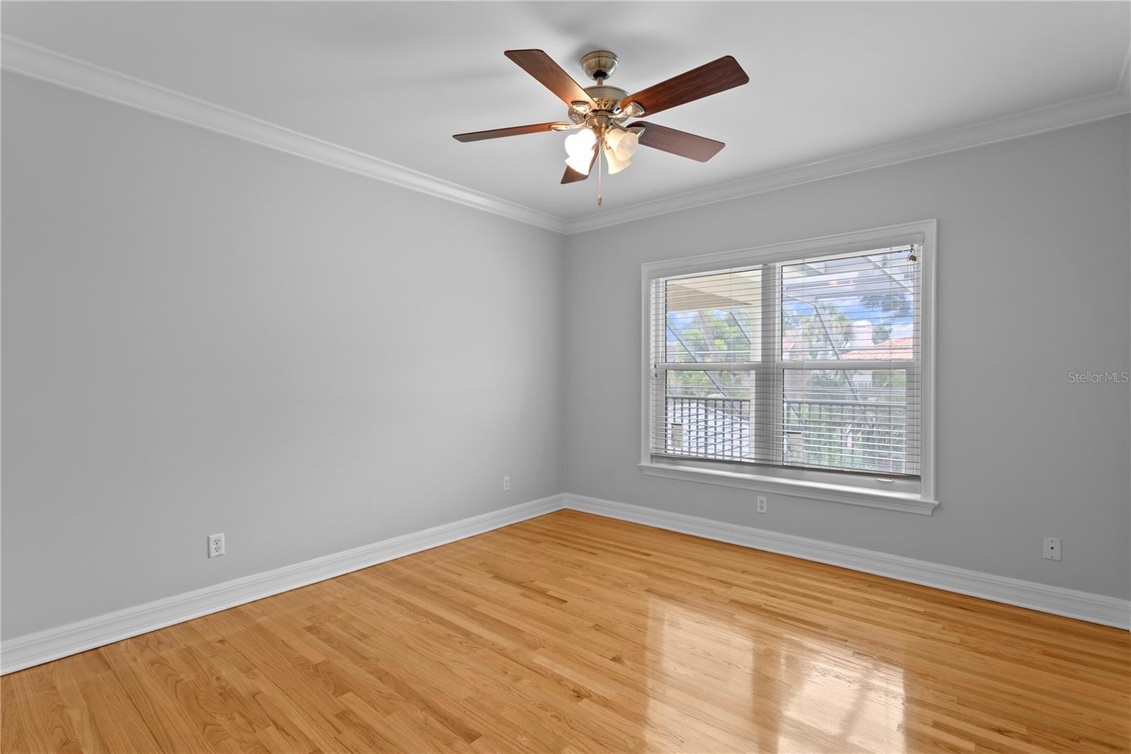 Image 42 of 65 For 4301 Swann Avenue