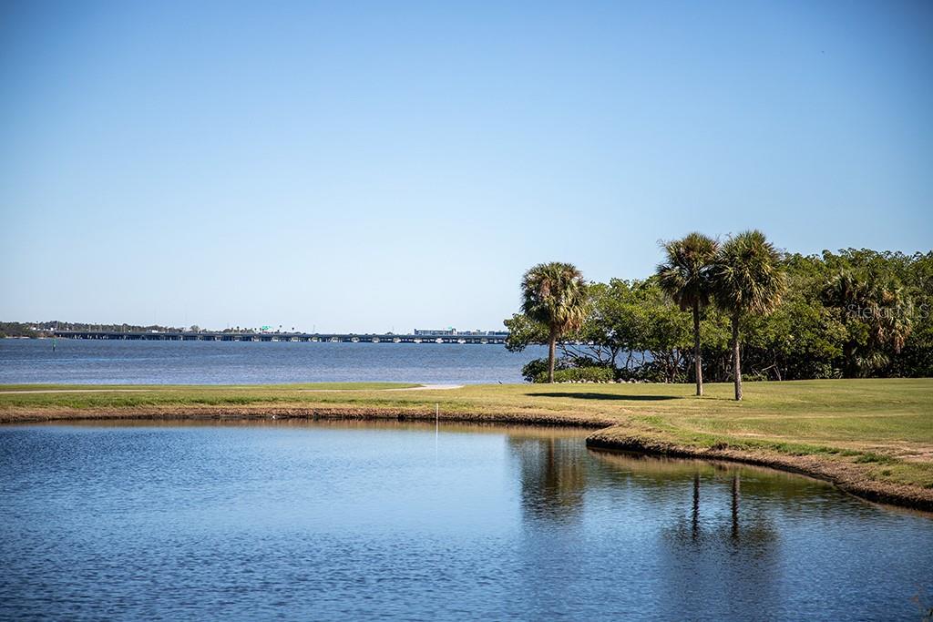 Image 45 of 49 For 2617 Cove Cay Drive 706