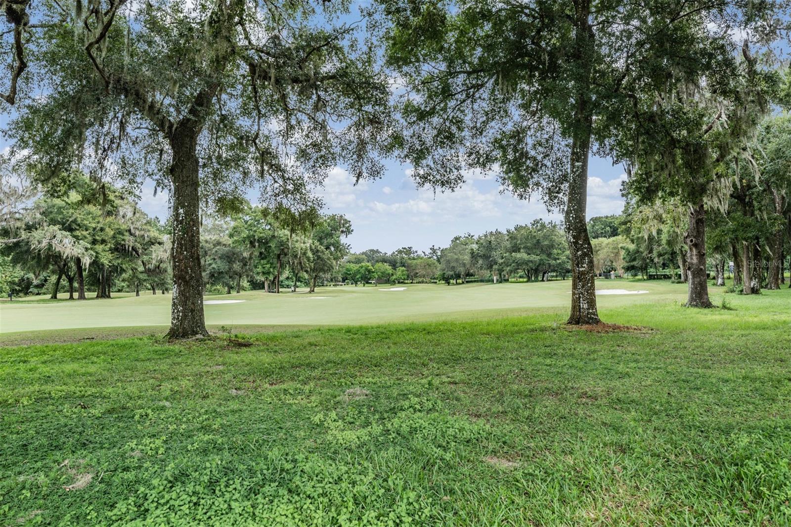 Image 5 of 56 For 12314 Lake Jovita Boulevard
