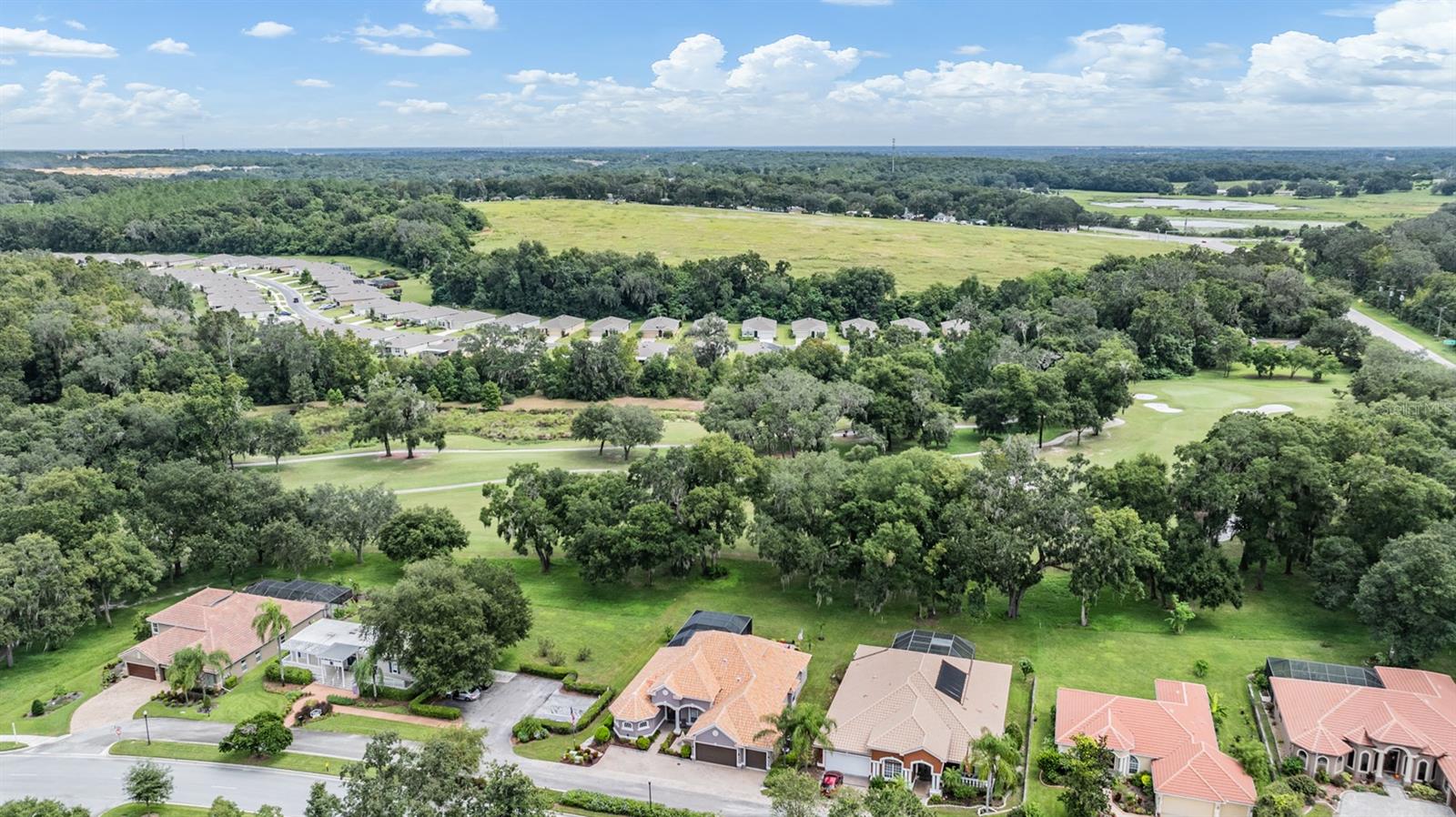 Image 54 of 56 For 12314 Lake Jovita Boulevard