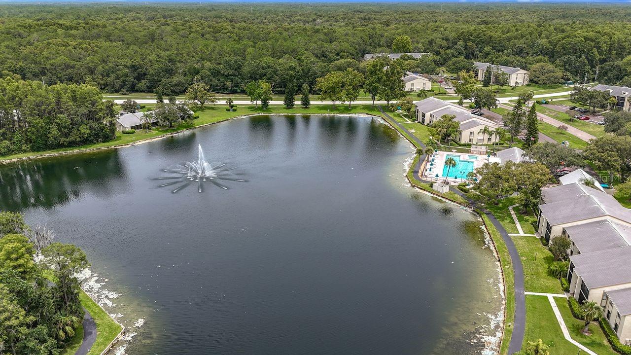 Image 61 of 70 For 3113 Lake Pine Way C