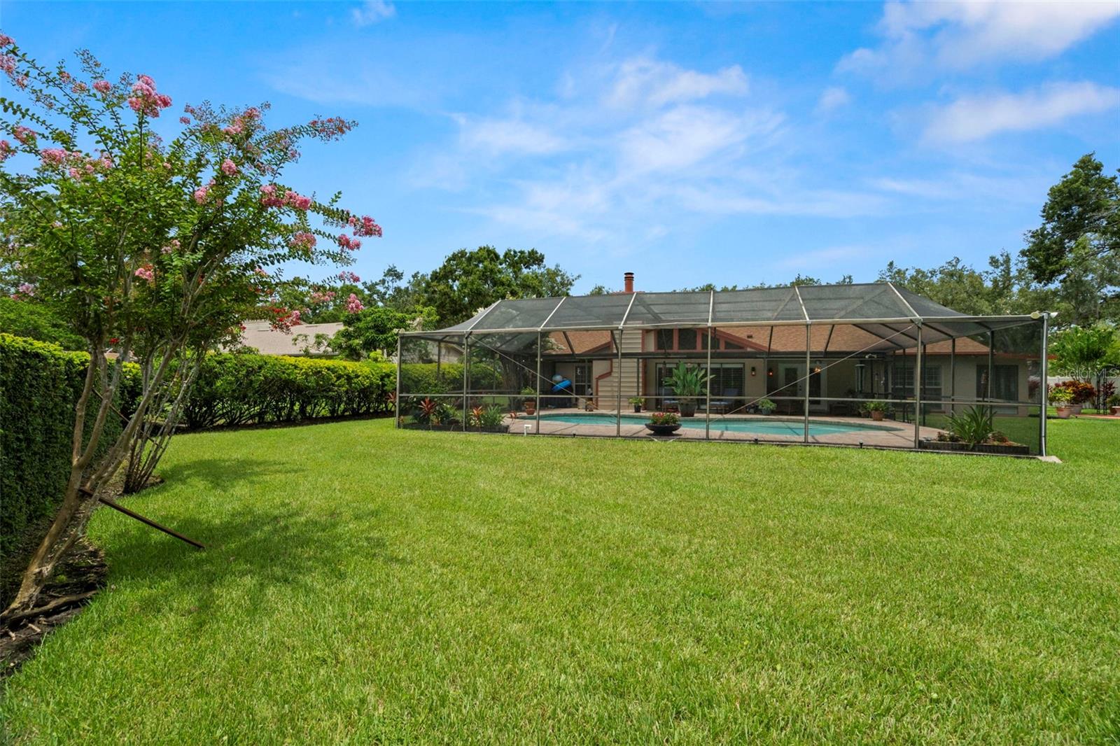 Listing photo id 36 for 4208 Carrollwood Village Drive