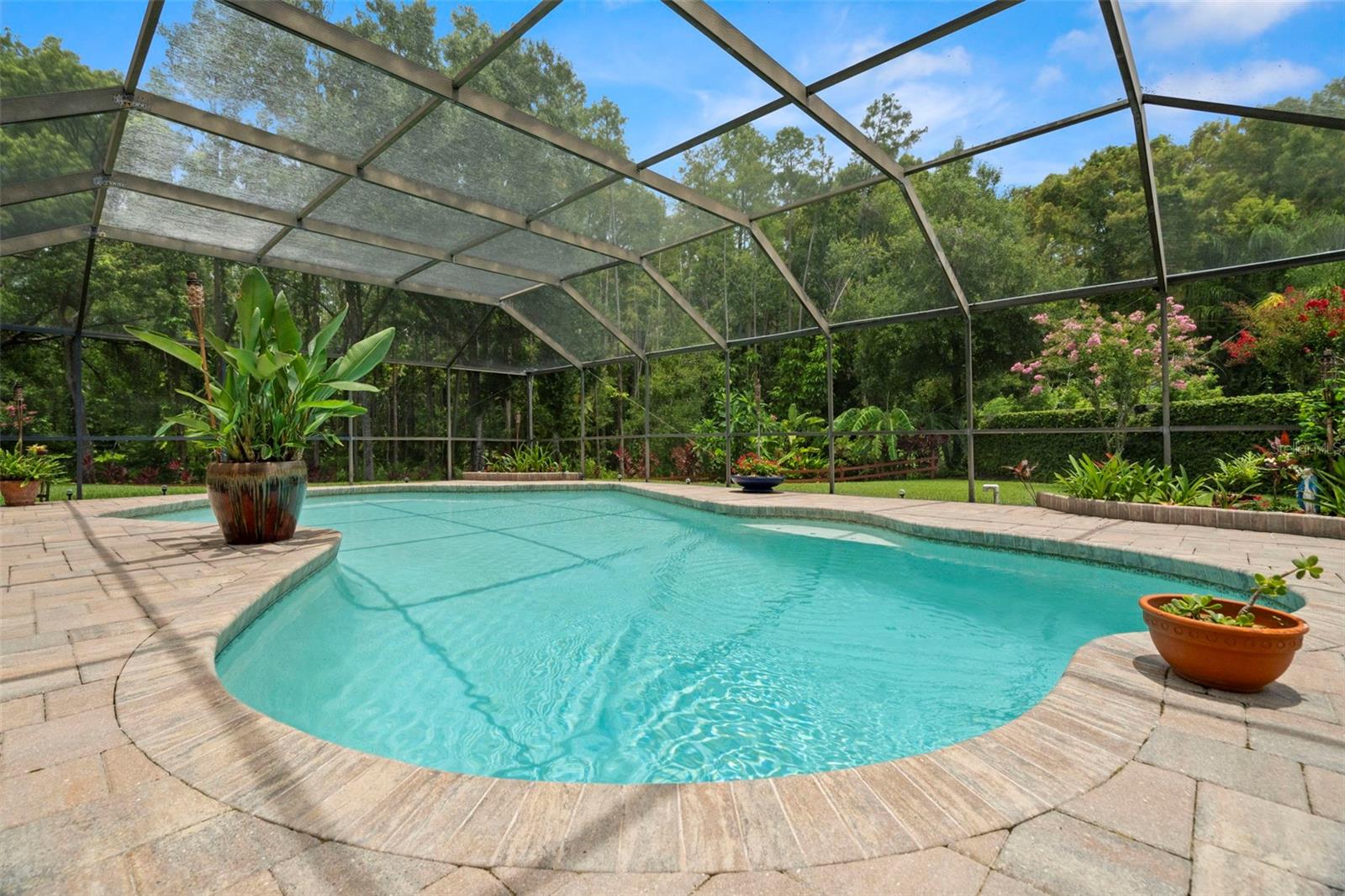 Listing photo id 2 for 4208 Carrollwood Village Drive