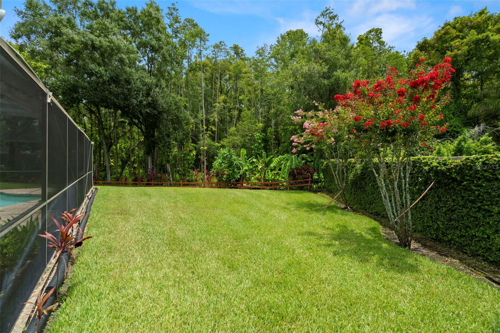 Listing photo id 38 for 4208 Carrollwood Village Drive