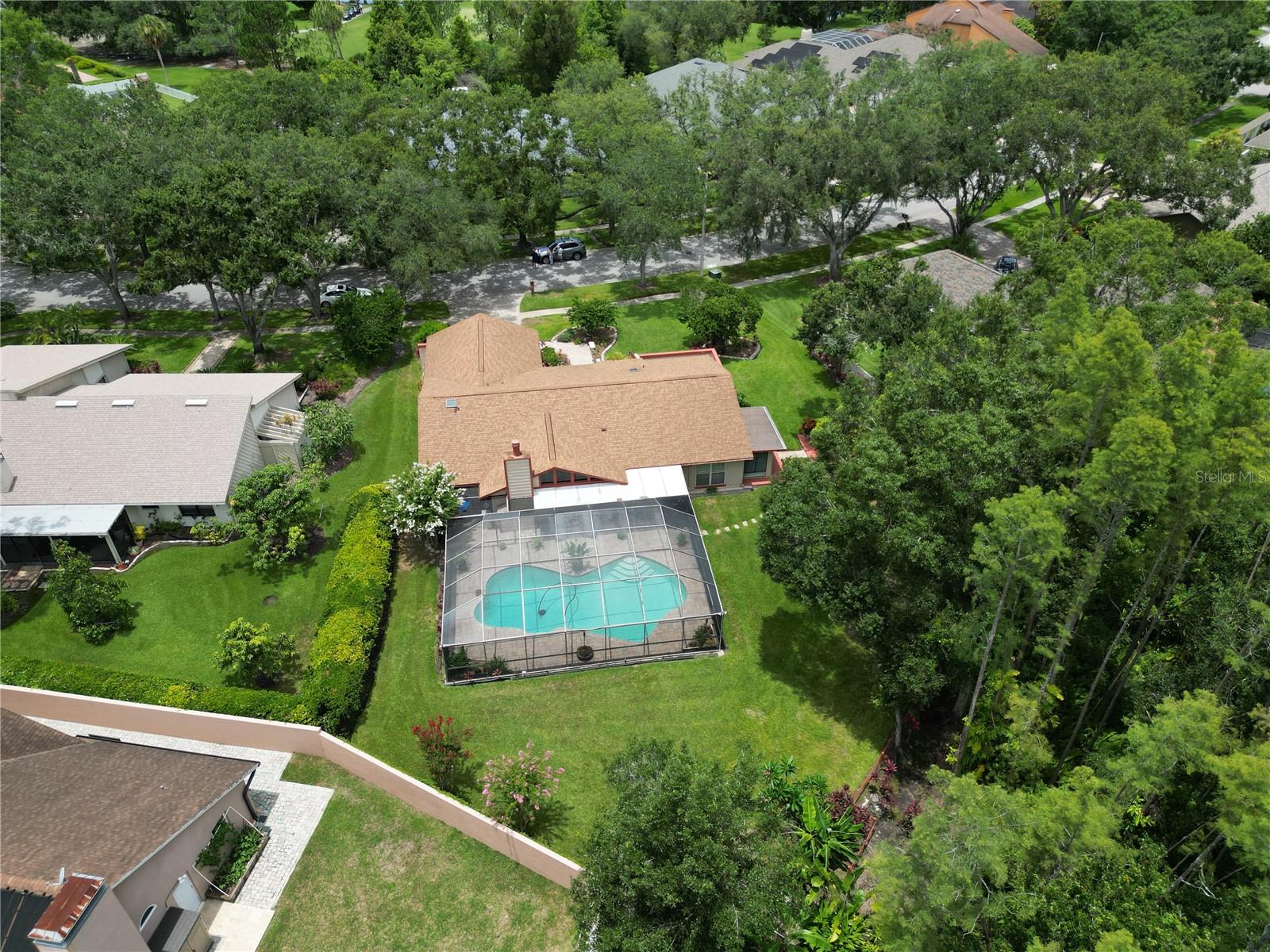 Listing photo id 40 for 4208 Carrollwood Village Drive