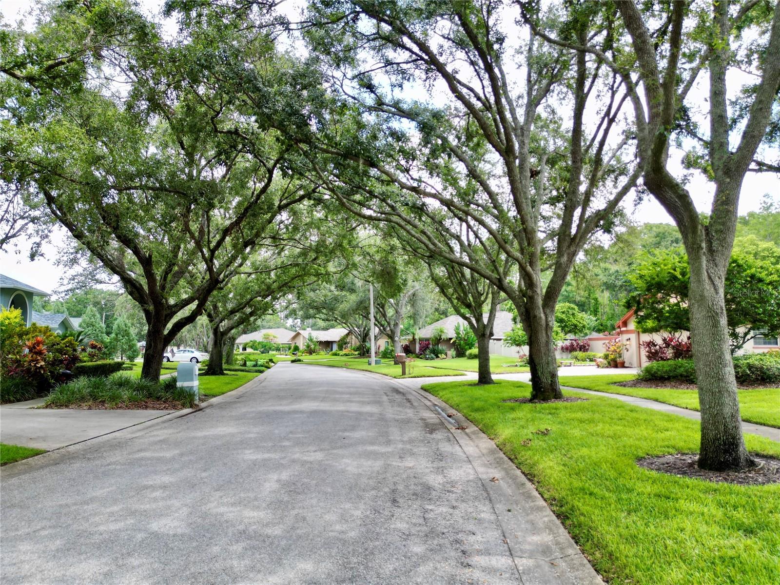 Listing photo id 47 for 4208 Carrollwood Village Drive