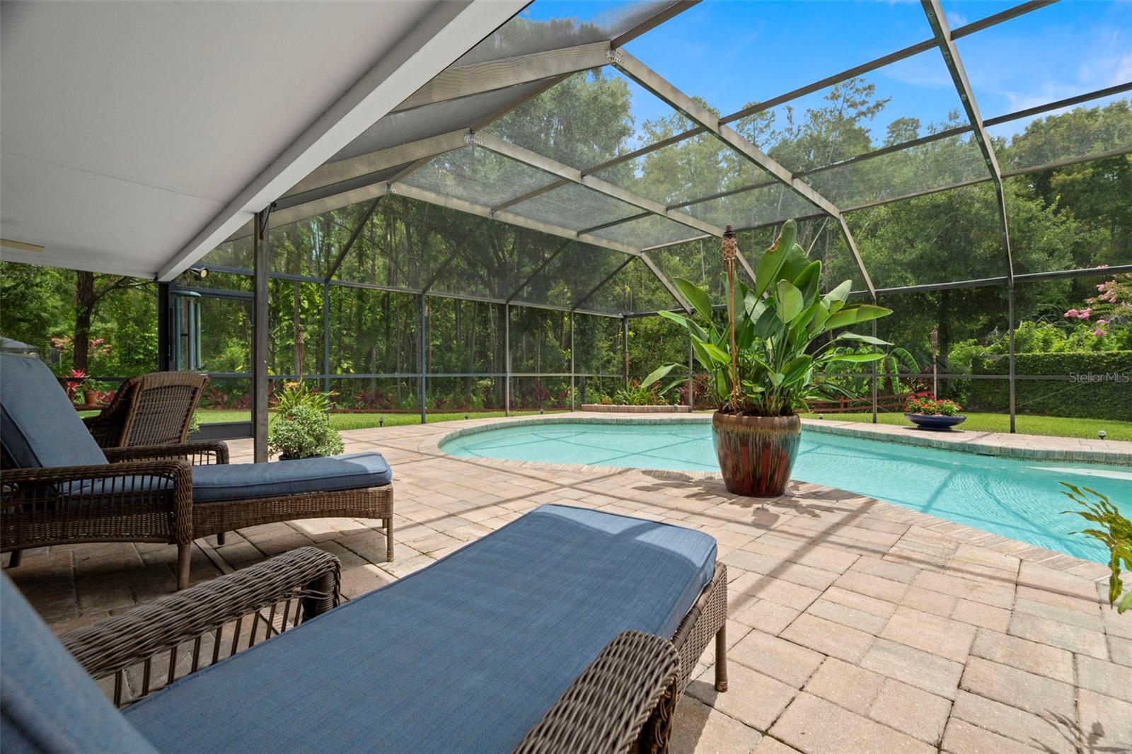 Listing photo id 3 for 4208 Carrollwood Village Drive