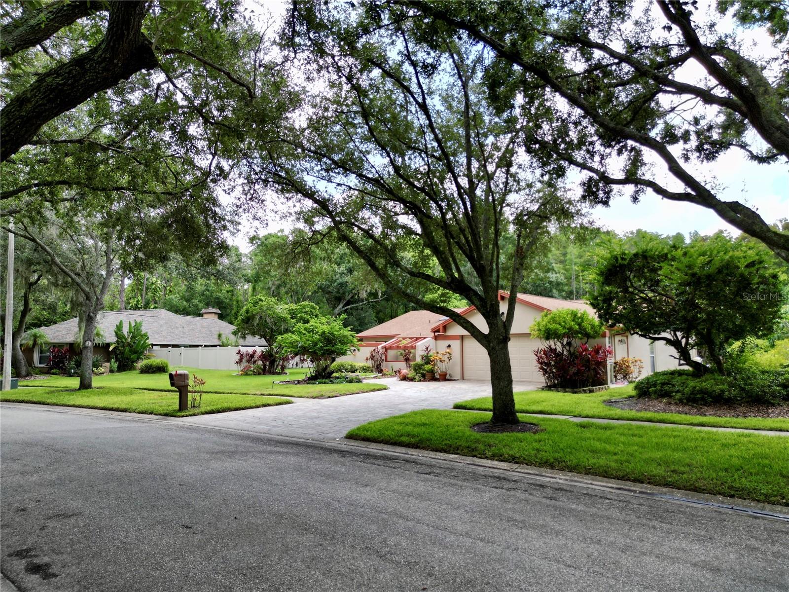 Listing photo id 48 for 4208 Carrollwood Village Drive