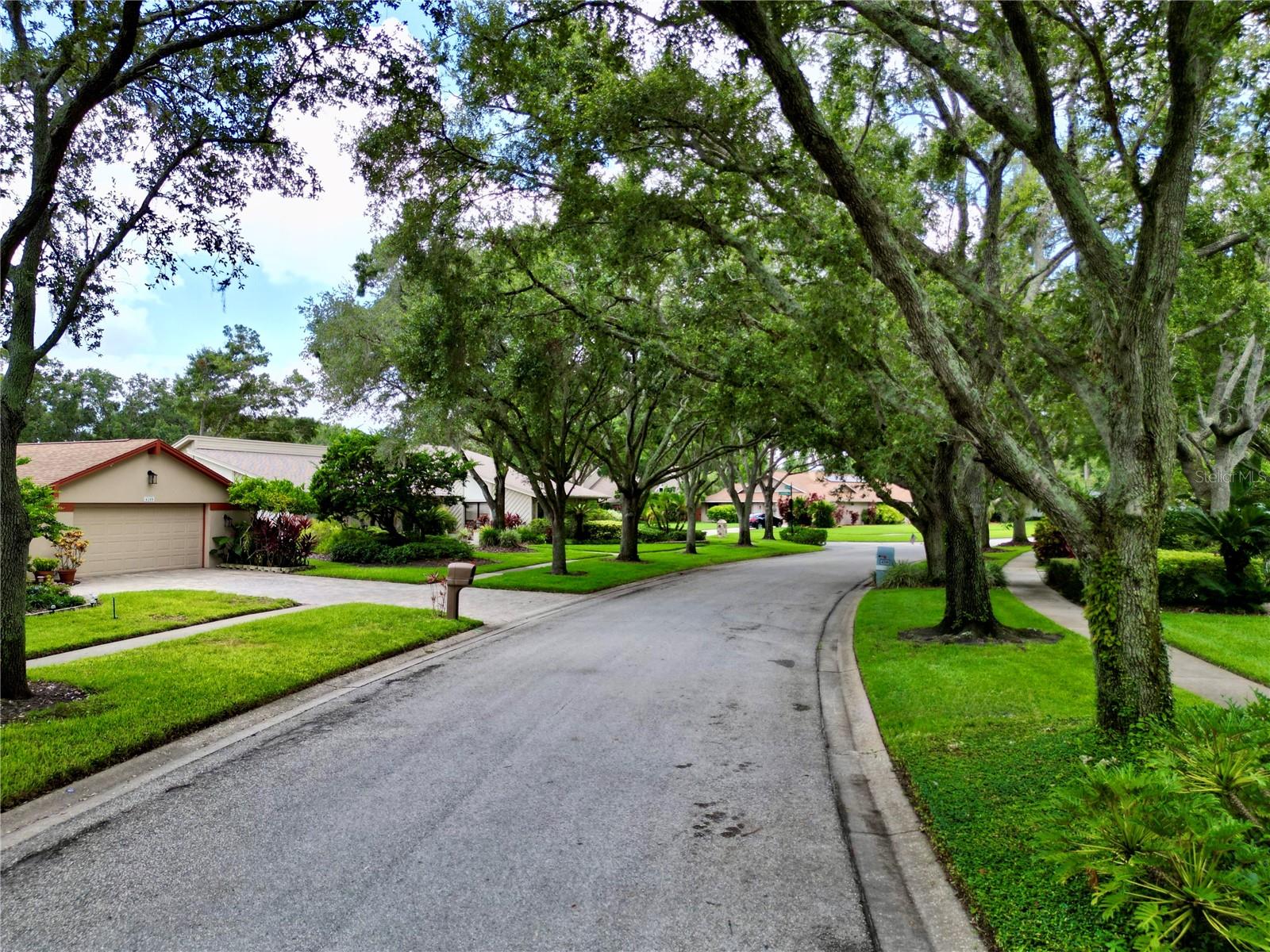 Listing photo id 49 for 4208 Carrollwood Village Drive