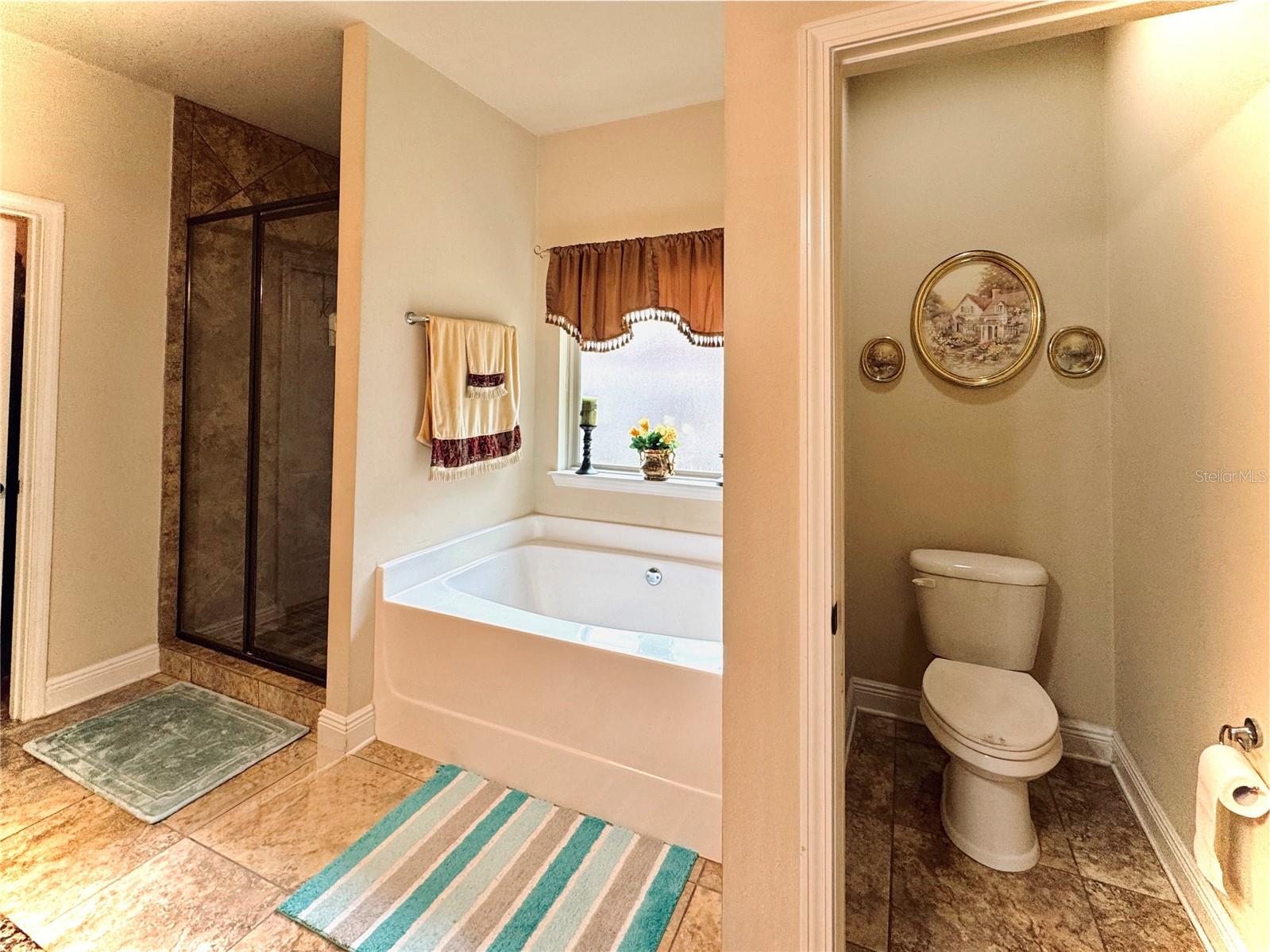 Image 19 of 26 For 223 Paradise Palm Circle
