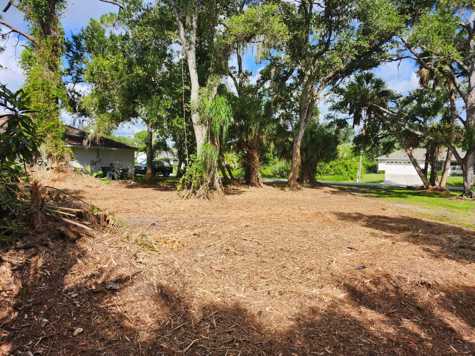 Image 10 of 29 For Ragen Street