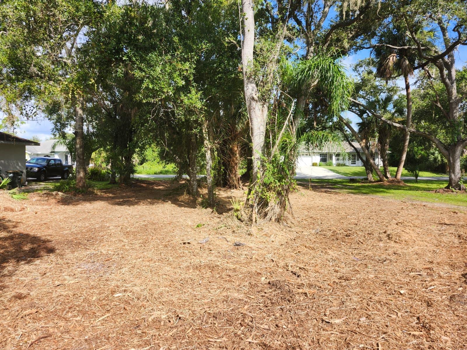 Image 11 of 29 For Ragen Street