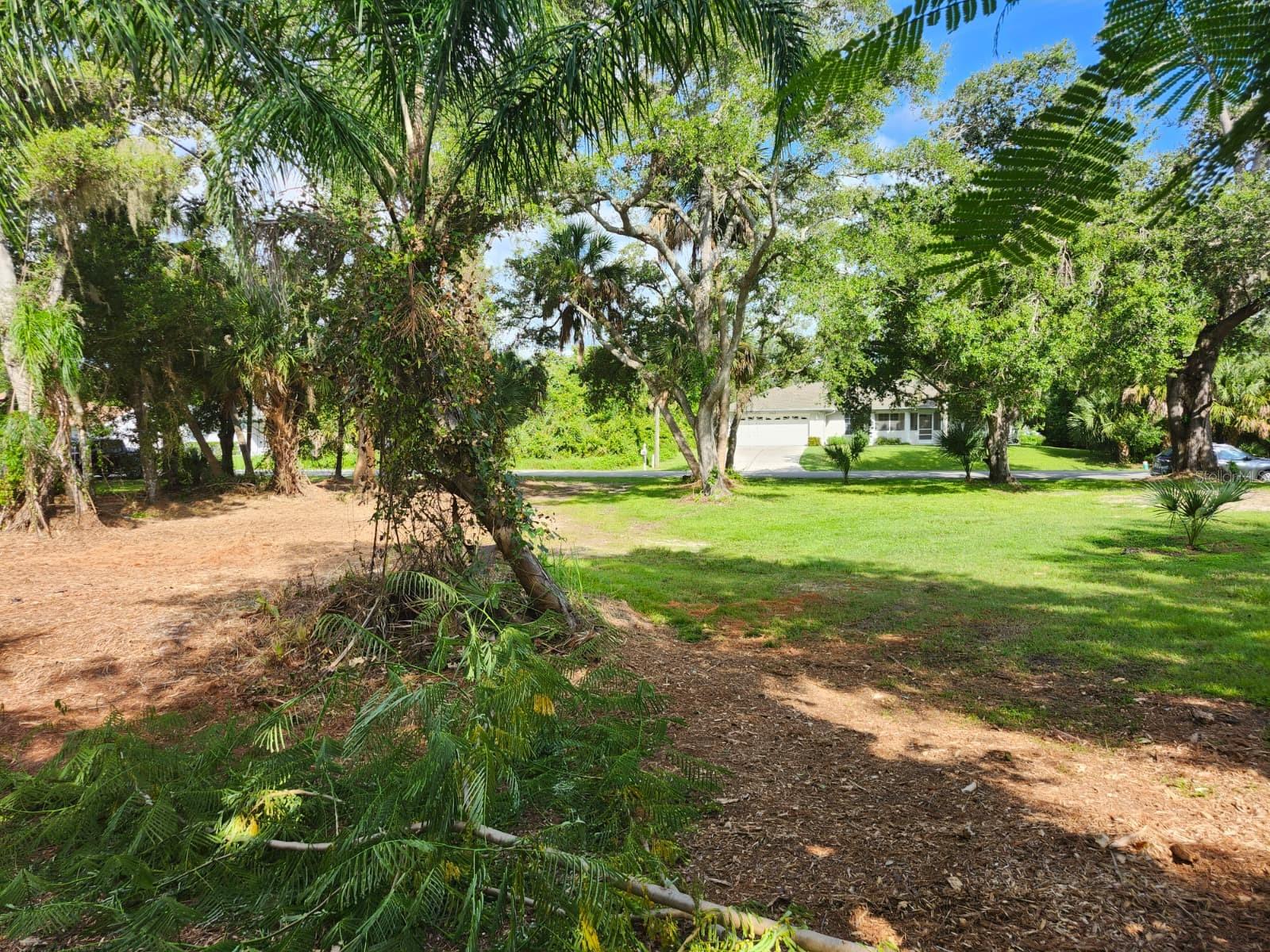 Image 12 of 29 For Ragen Street