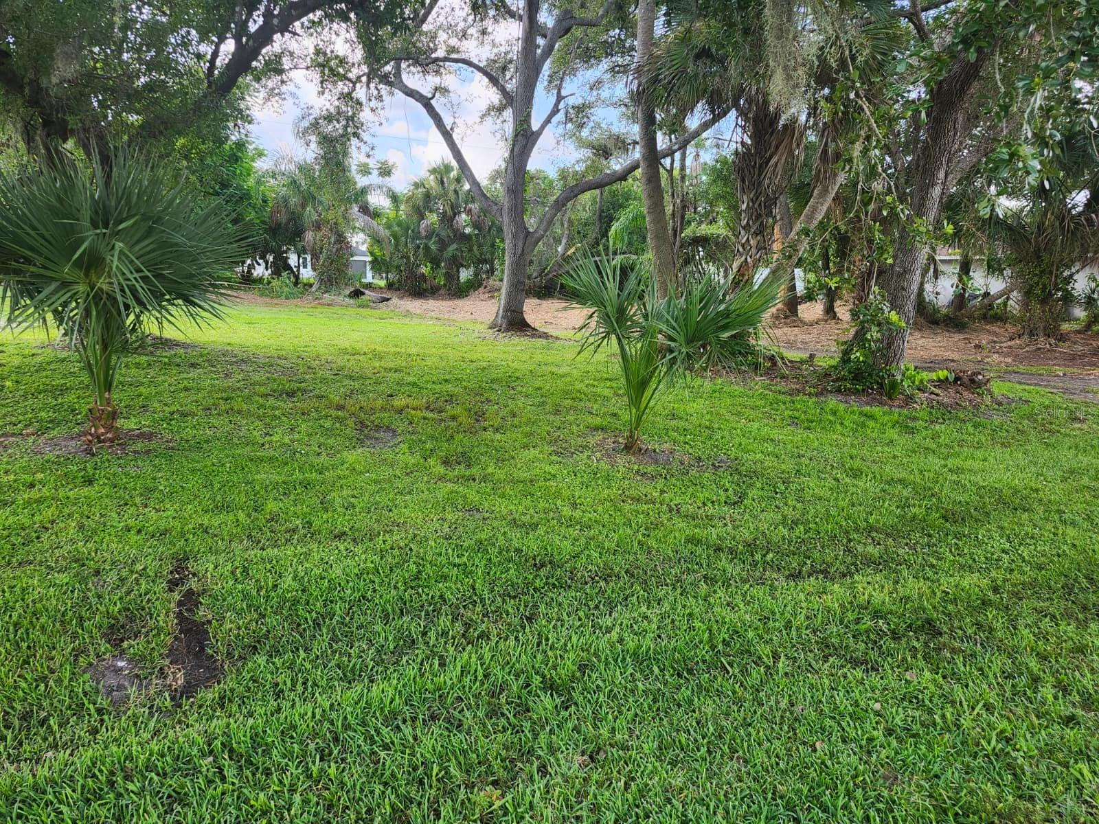 Image 15 of 29 For Ragen Street