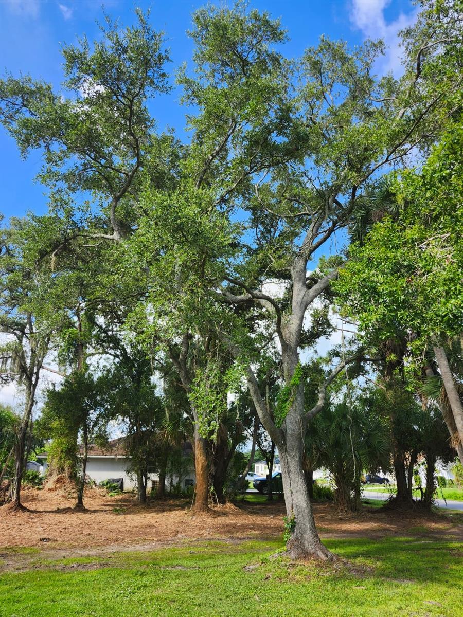Image 16 of 29 For Ragen Street