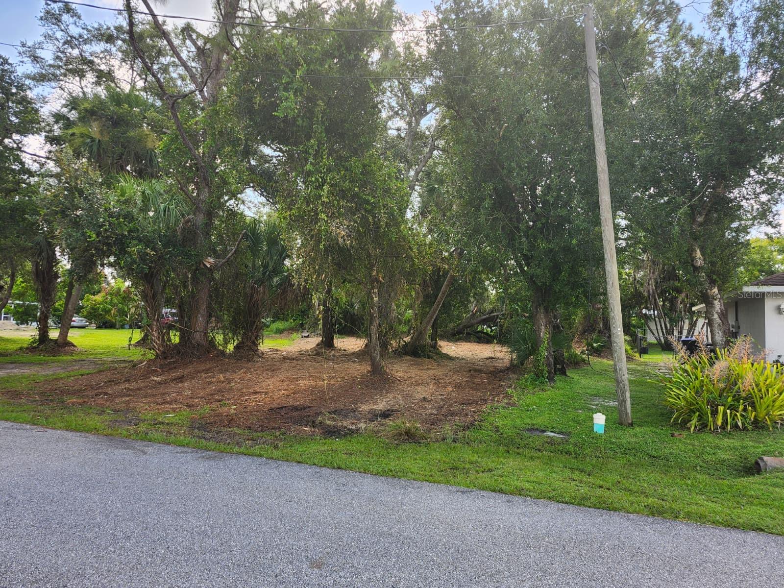 Image 18 of 29 For Ragen Street