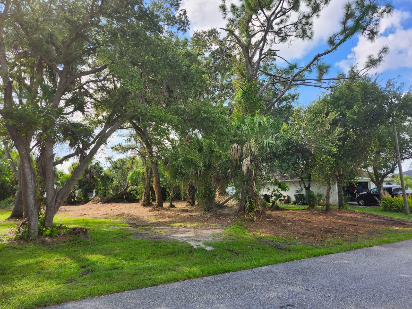 Image 20 of 29 For Ragen Street