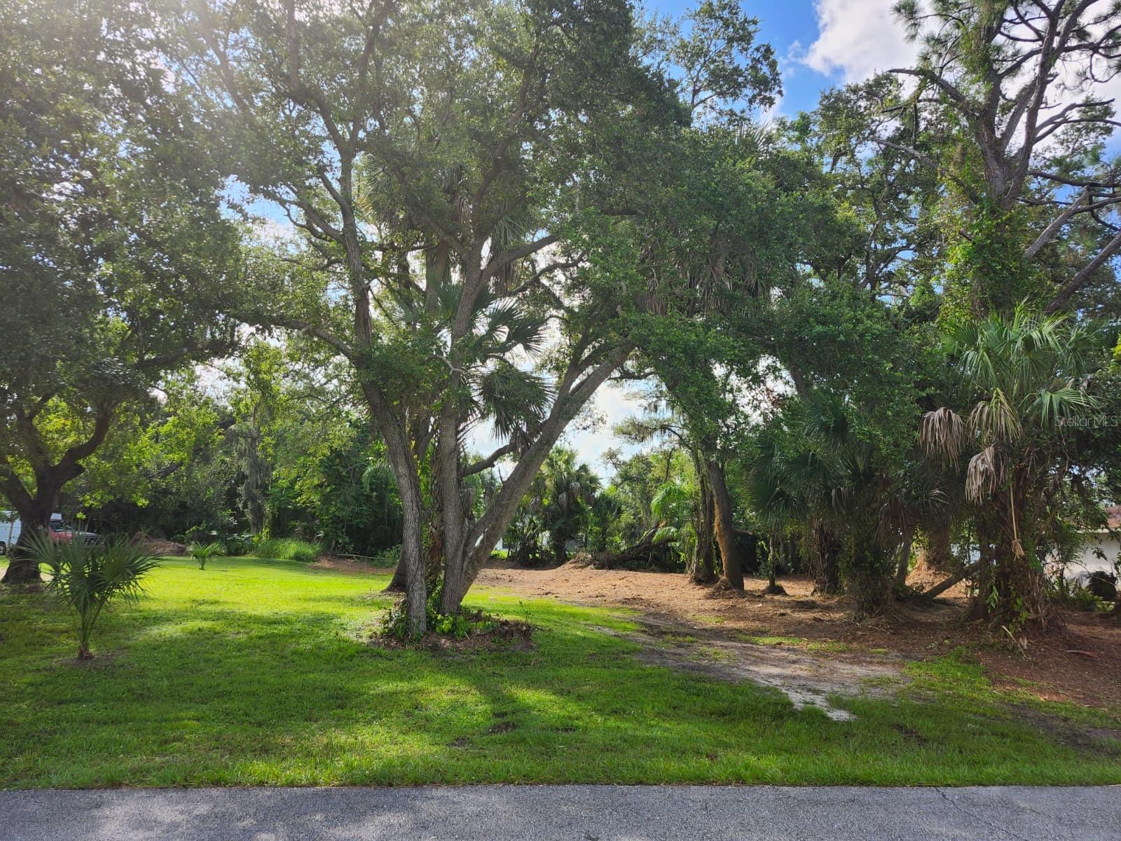 Image 21 of 29 For Ragen Street