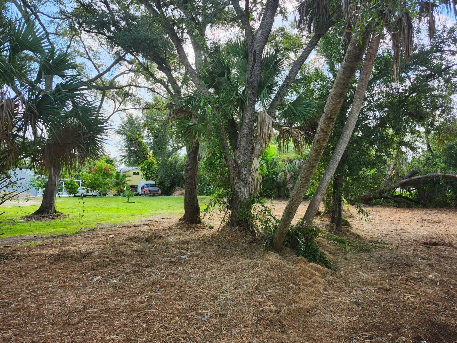 Image 26 of 29 For Ragen Street