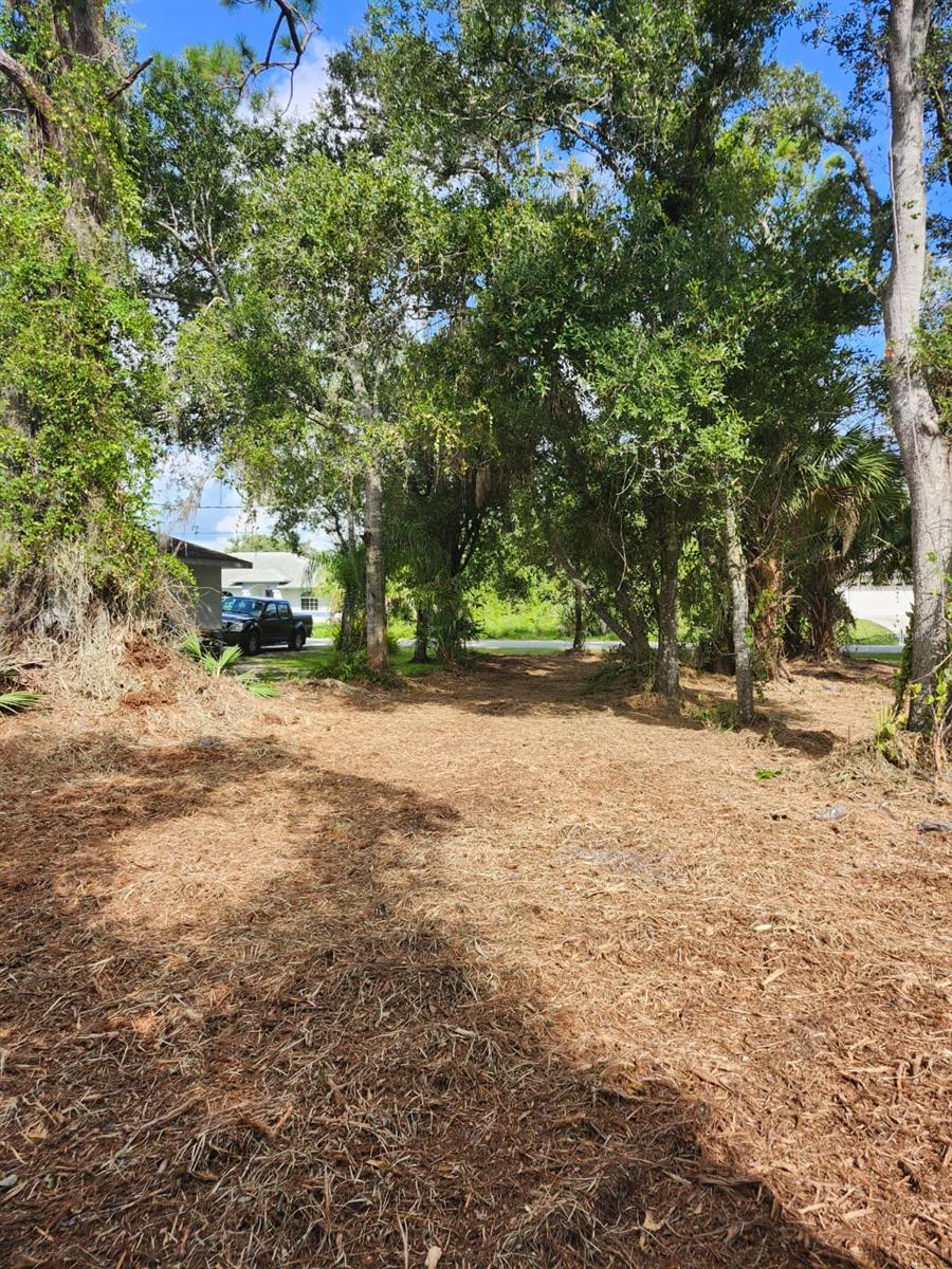 Image 6 of 29 For Ragen Street