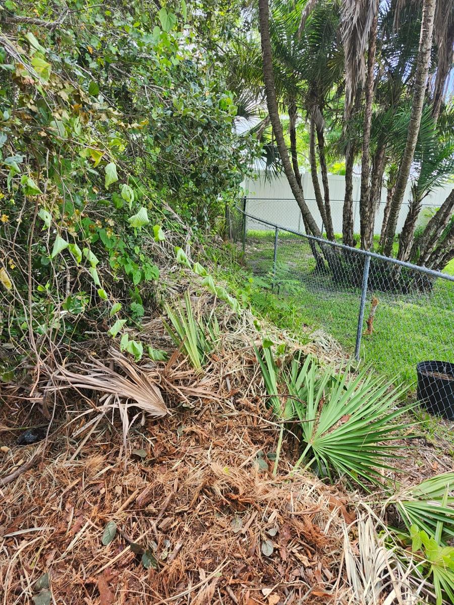 Image 7 of 29 For Ragen Street