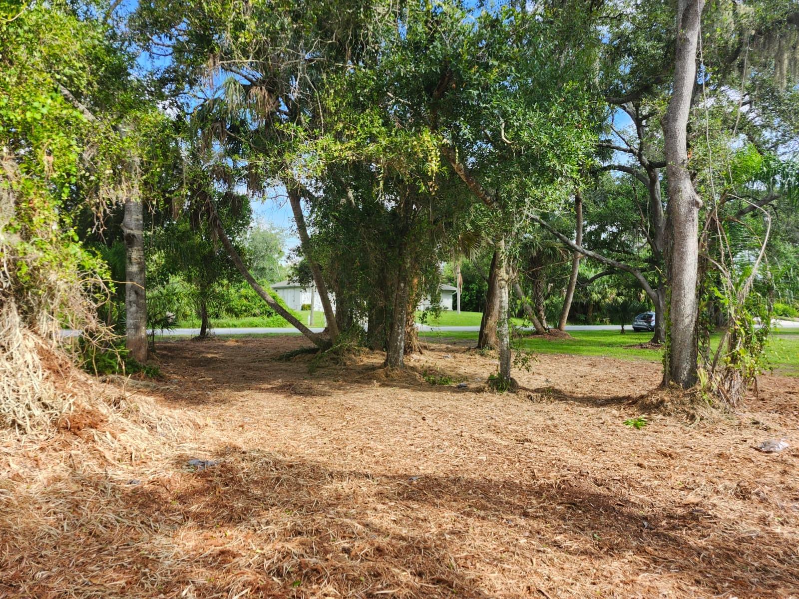 Image 8 of 29 For Ragen Street