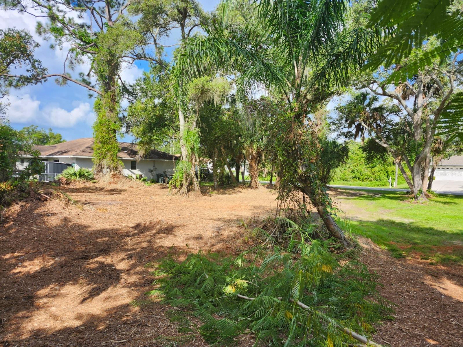 Image 9 of 29 For Ragen Street