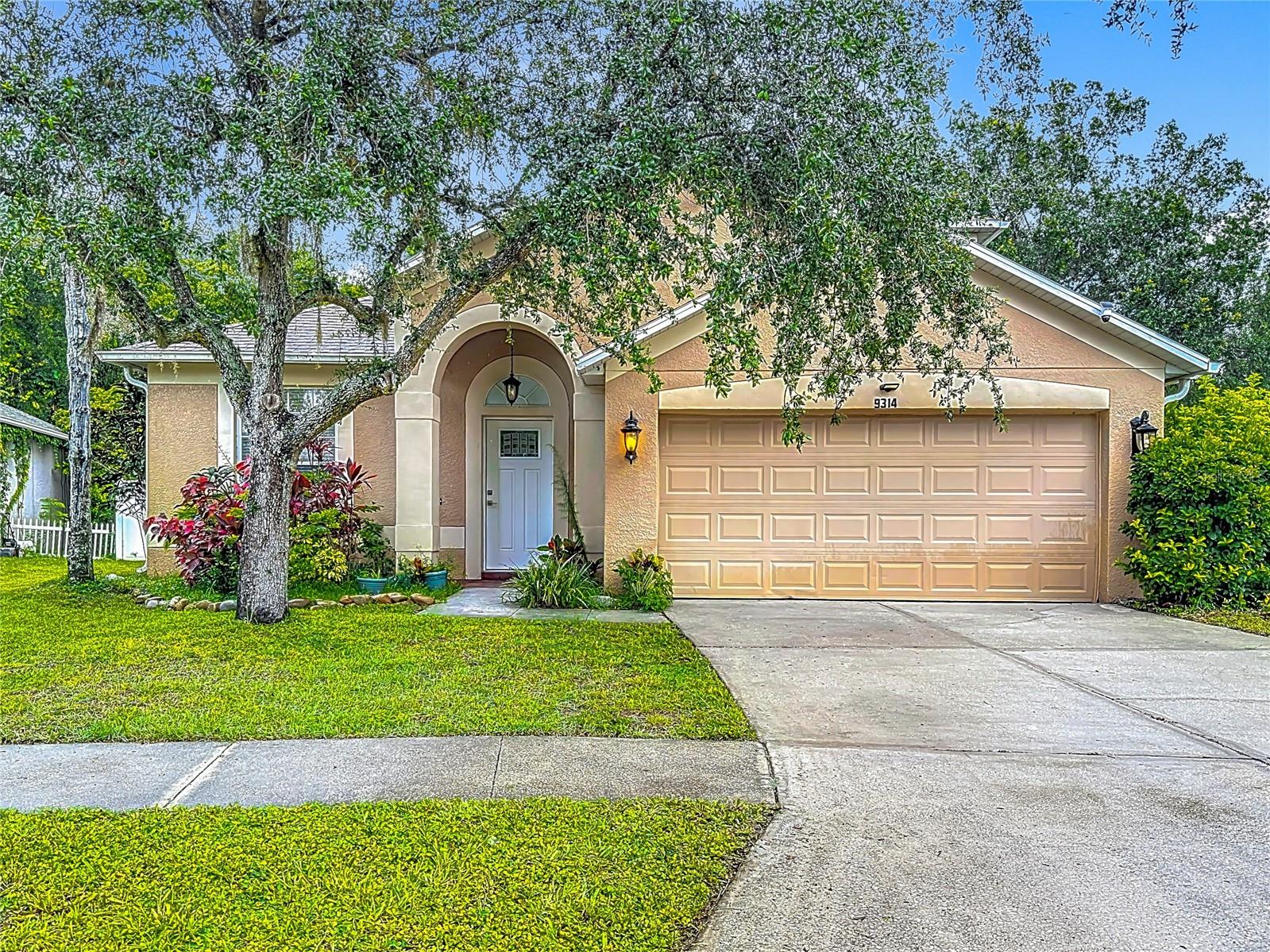 Details for 9314 Black Thorn Loop, LAND O LAKES, FL 34638