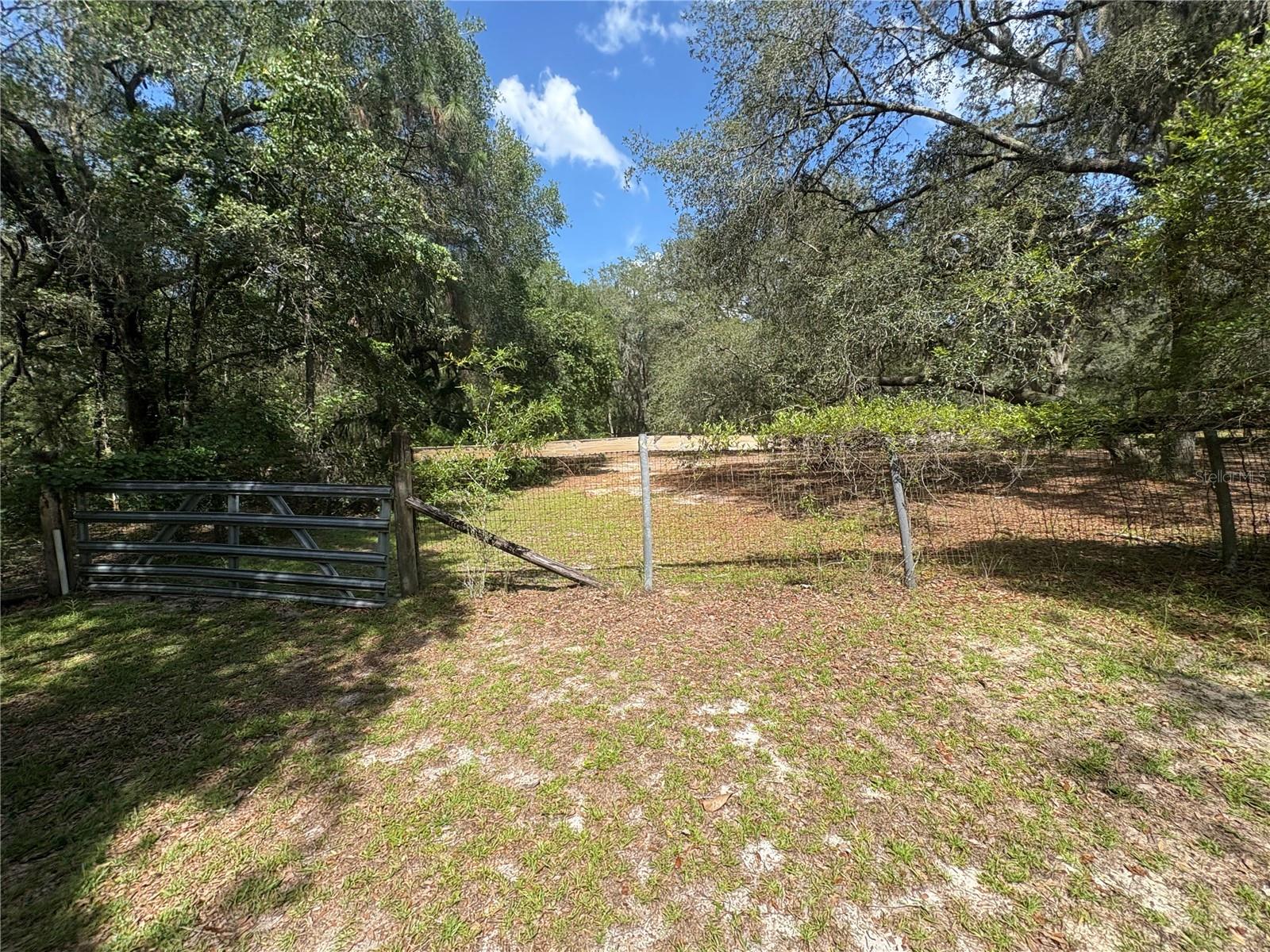 Image 54 of 71 For 2426 Sumter Avenue