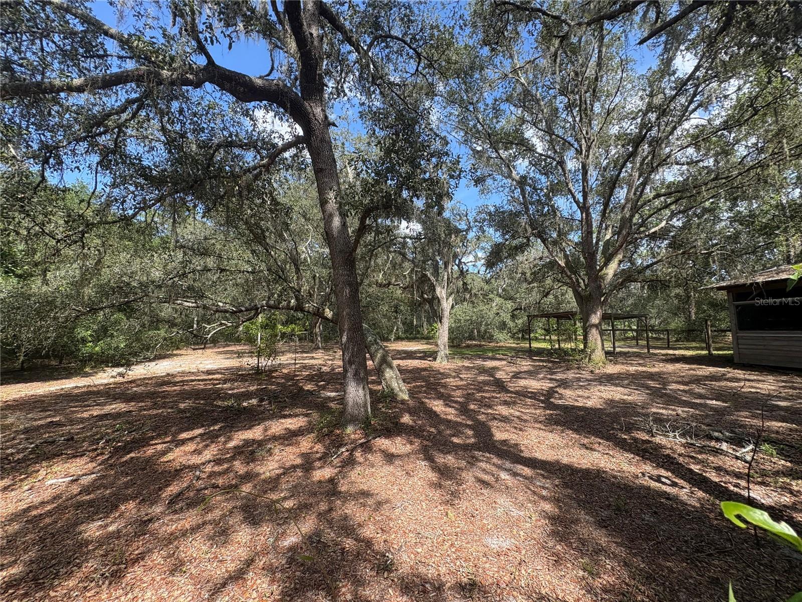 Image 55 of 71 For 2426 Sumter Avenue