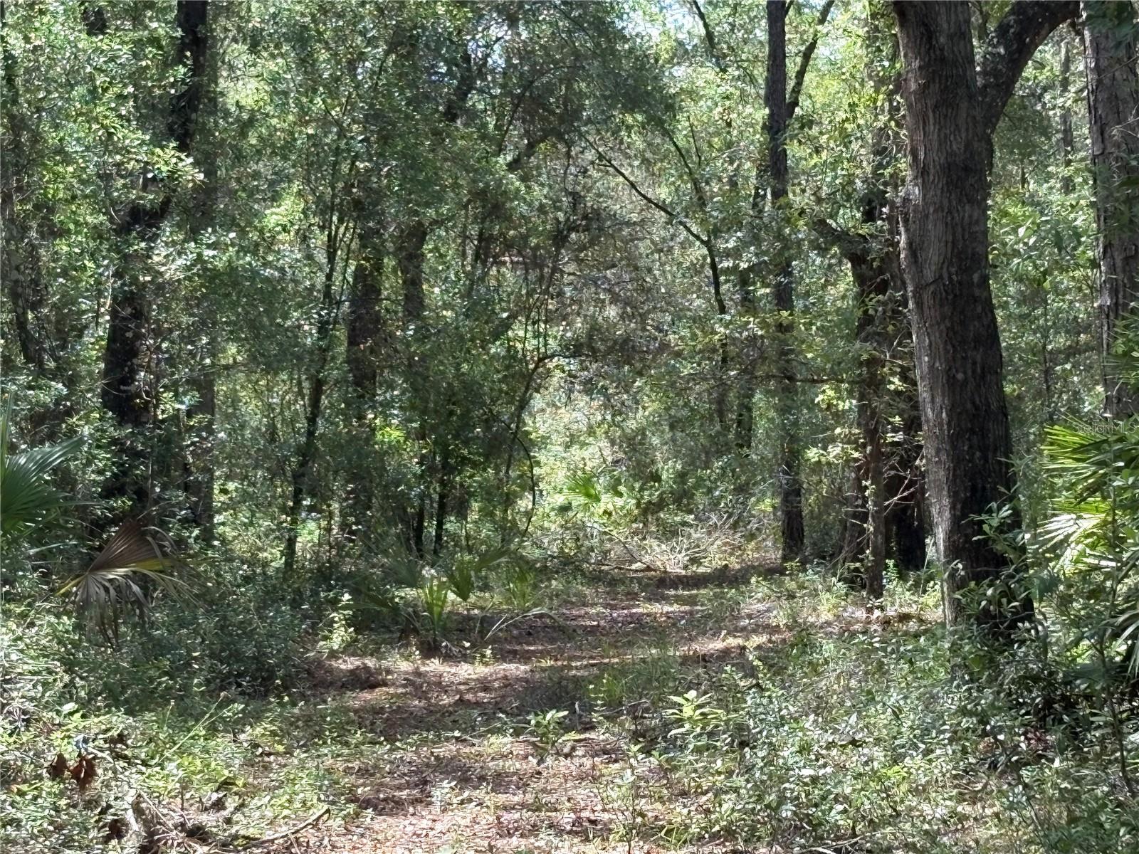 Image 59 of 71 For 2426 Sumter Avenue