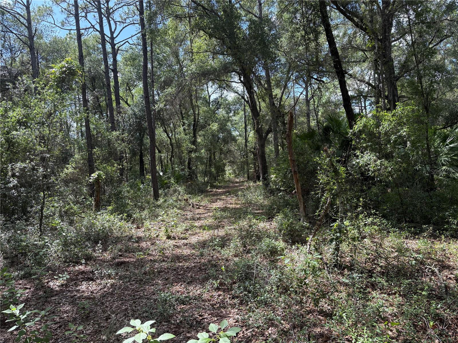 Image 60 of 71 For 2426 Sumter Avenue