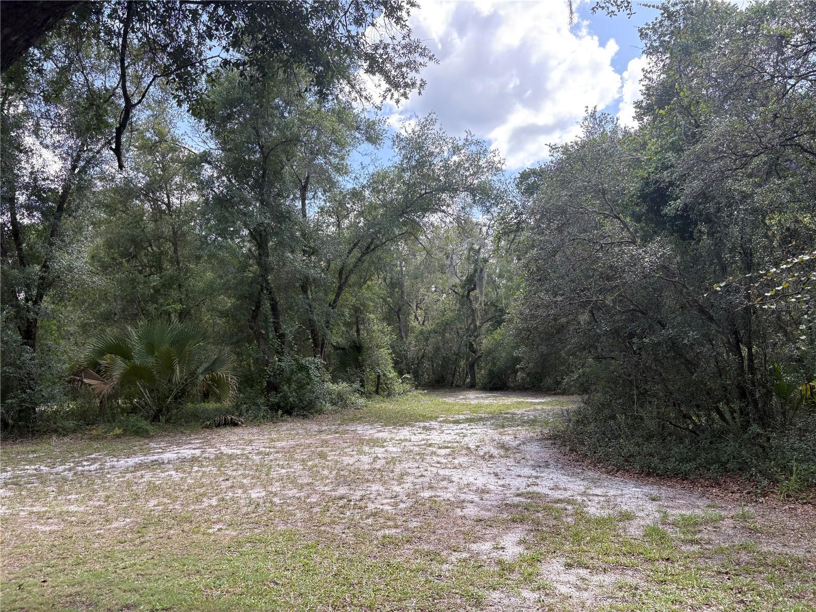 Image 64 of 71 For 2426 Sumter Avenue