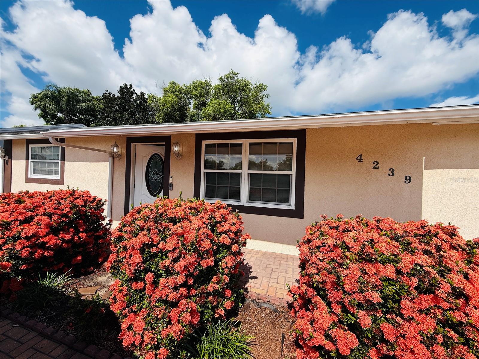 Image 2 of 46 For 4239 Cardoon Drive