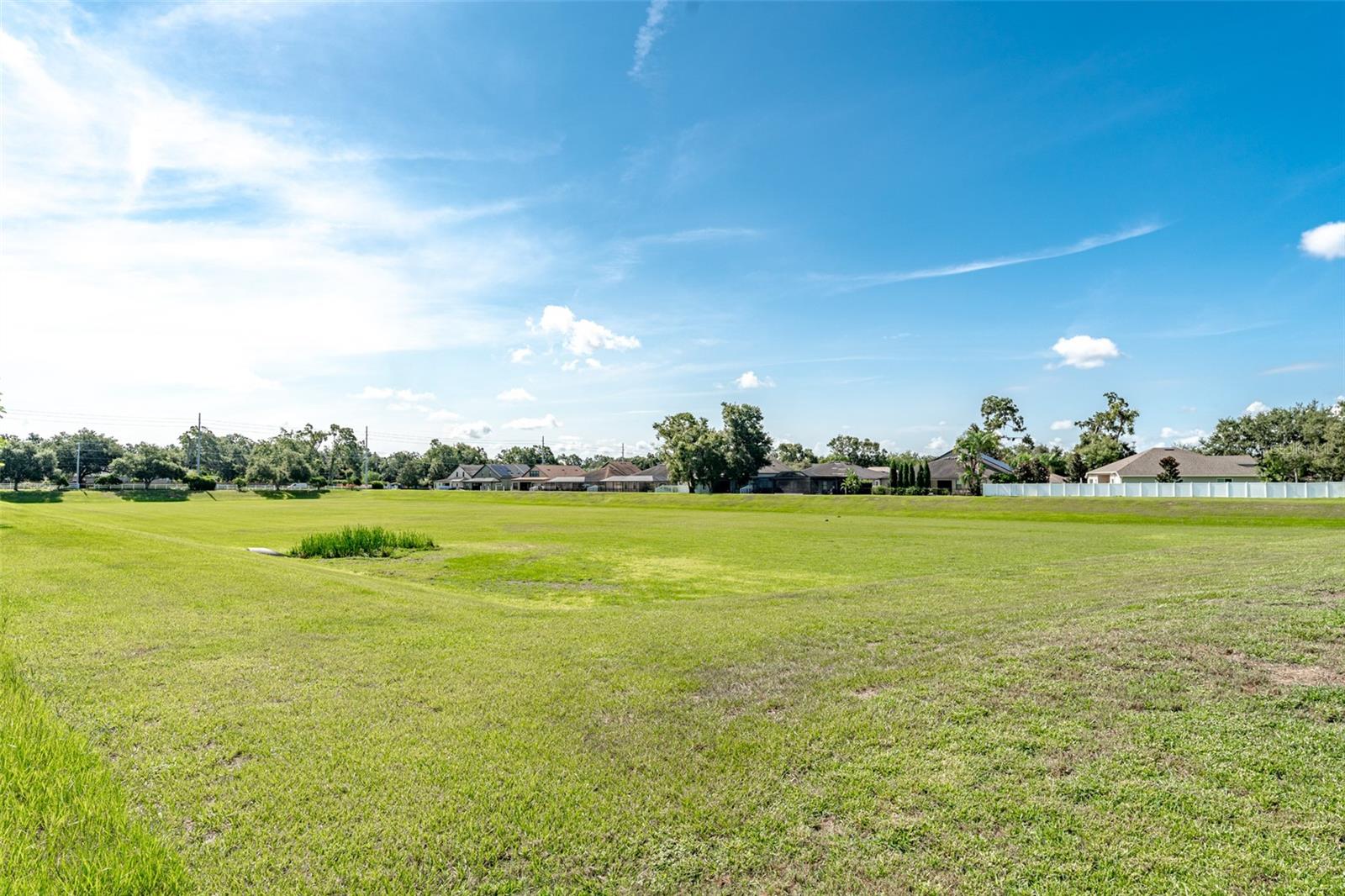 Listing photo id 64 for 4217 Balington Drive