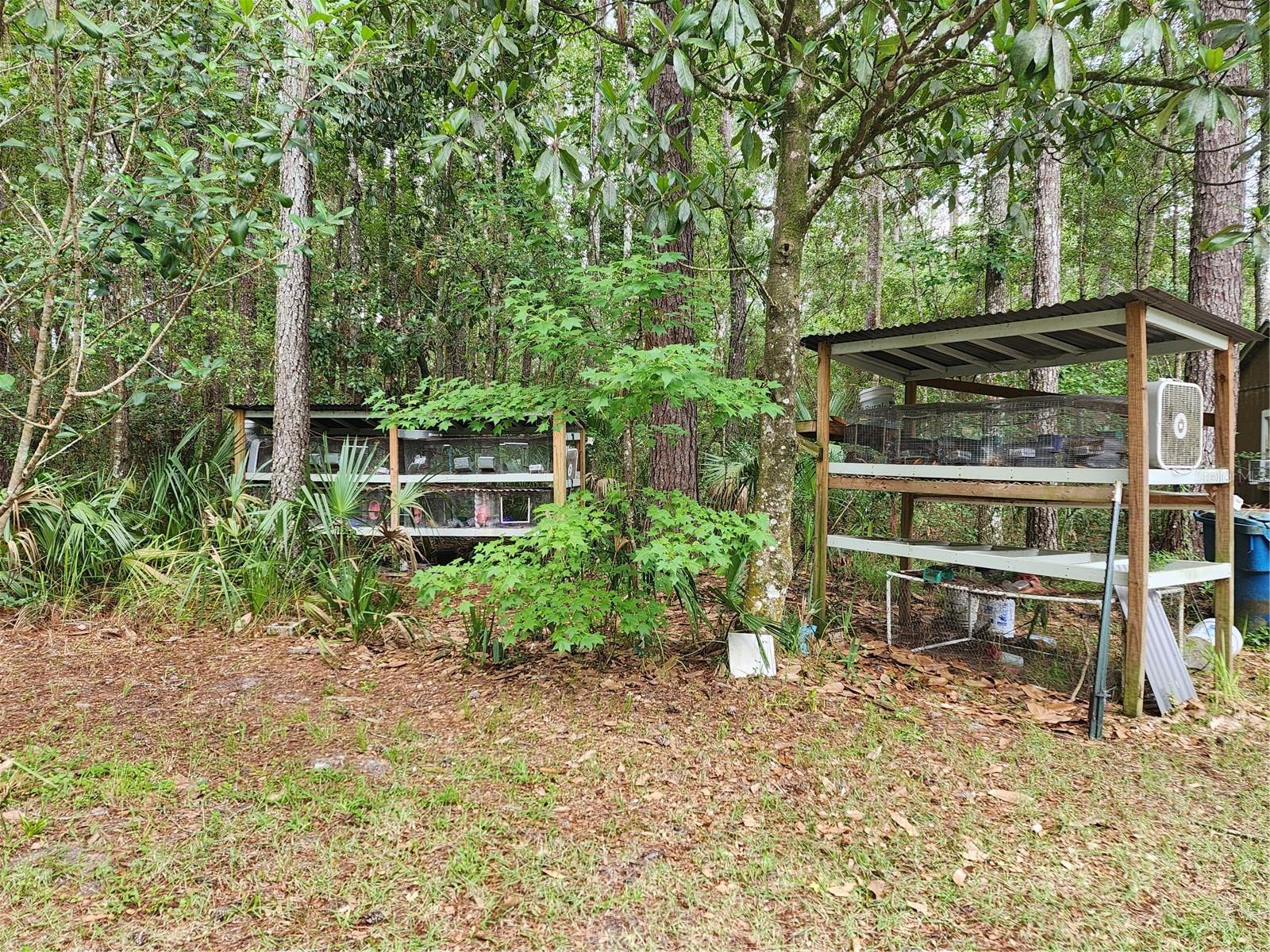 Image 29 of 42 For 14075 Citrus Way