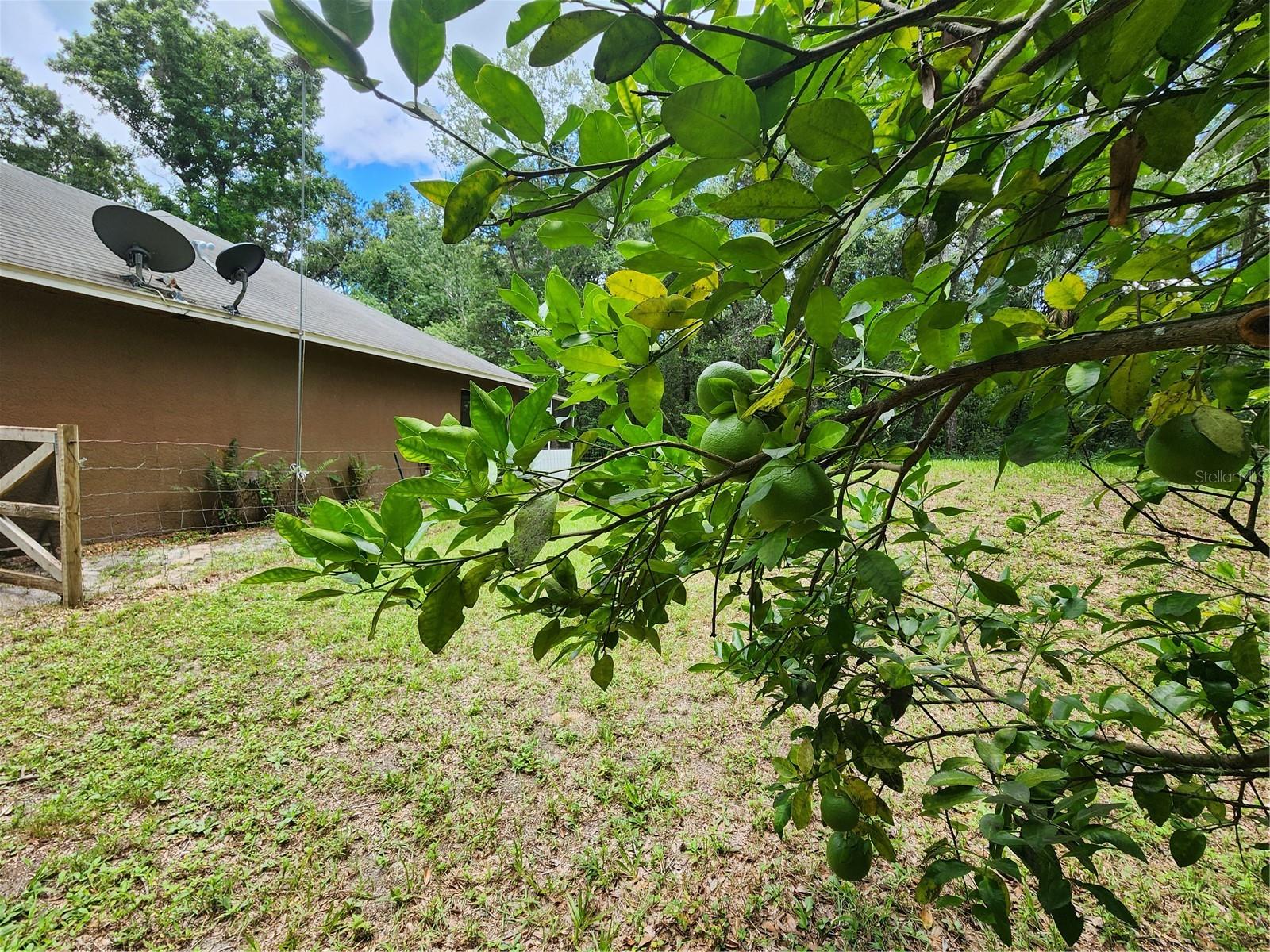 Image 39 of 42 For 14075 Citrus Way