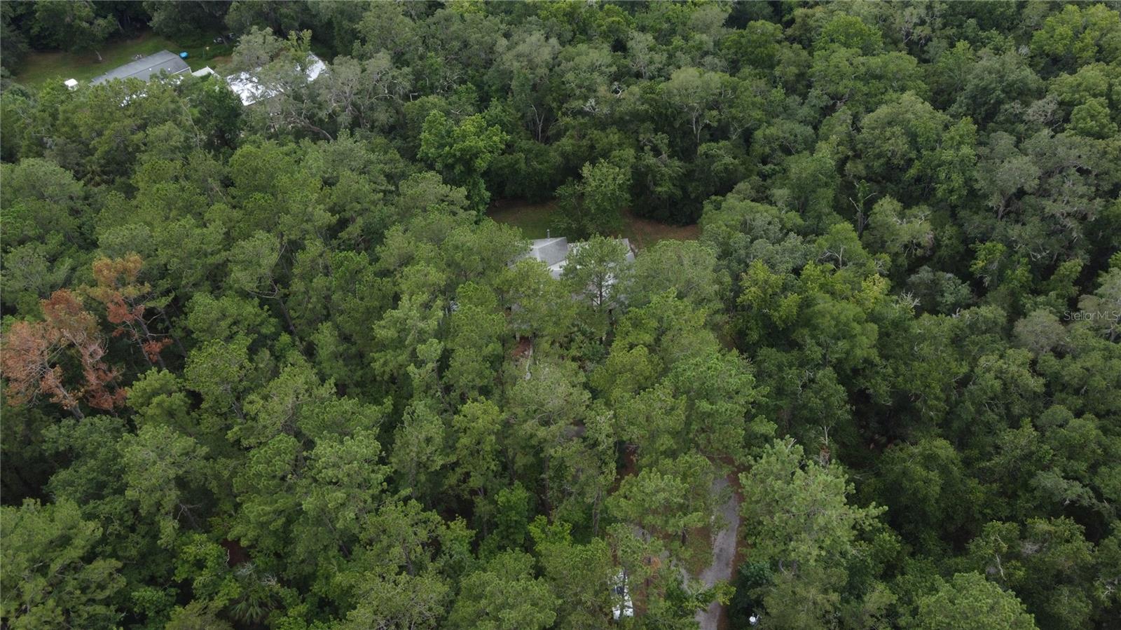 Image 41 of 42 For 14075 Citrus Way