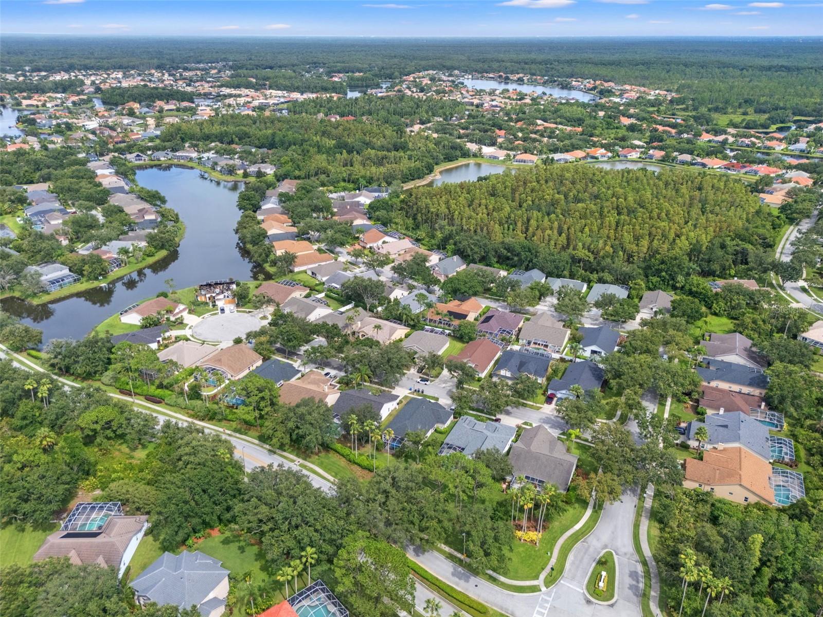 Image 50 of 53 For 10208 Thicket Point Way