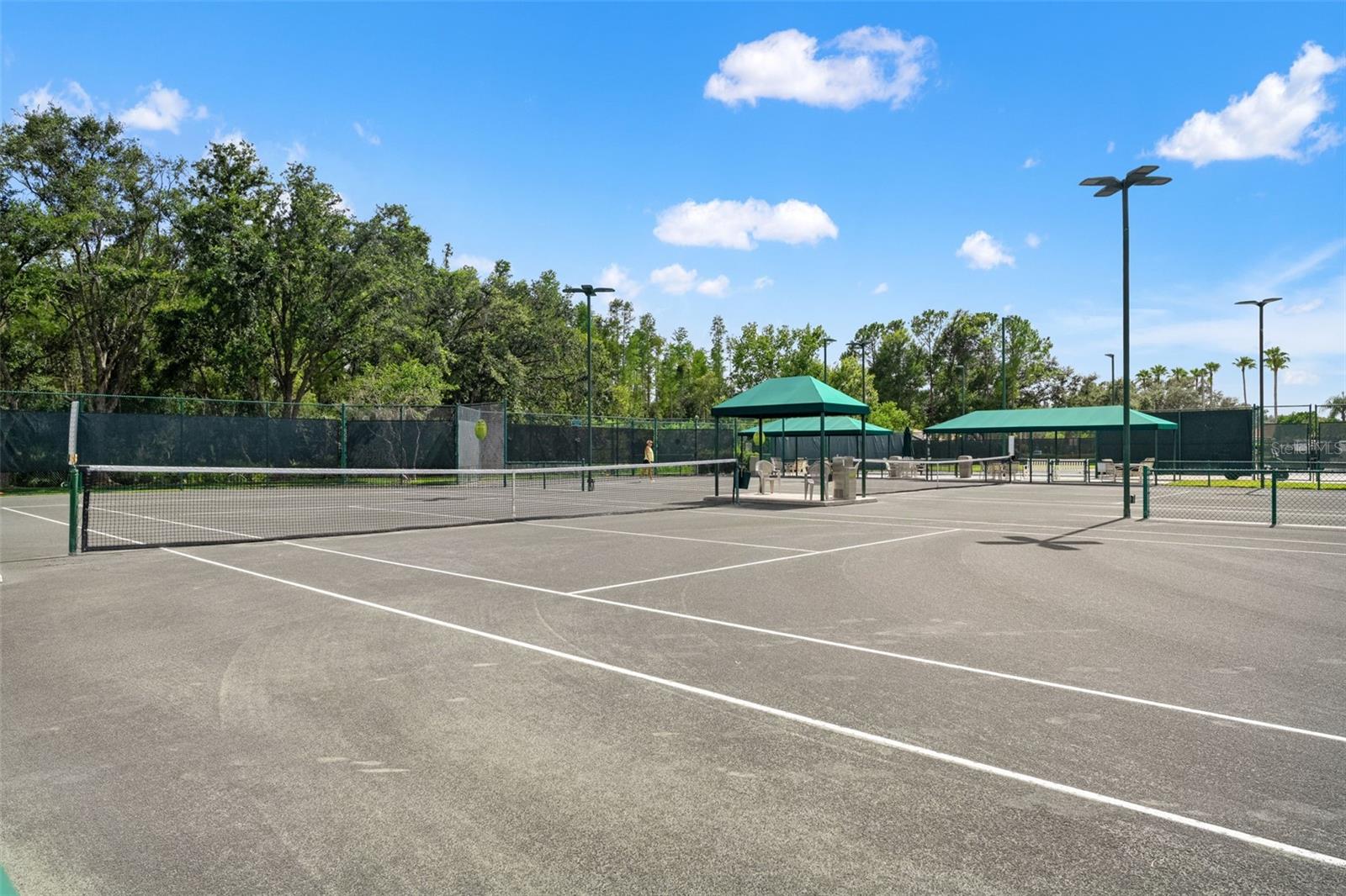 Image 82 of 84 For 10208 Thicket Point Way